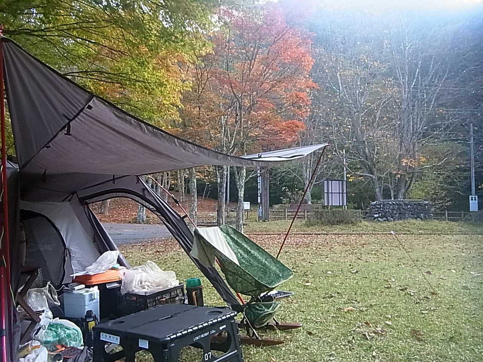 鹿の鳴き声で目覚めた早朝の紅葉