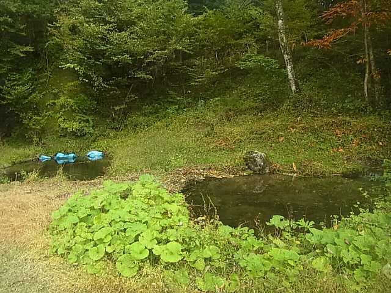 場内を流れる小川がここに繋がり鬼怒川へ