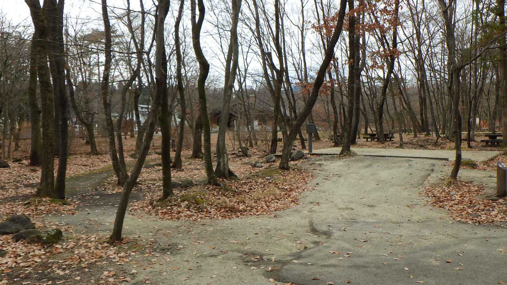 日光だいや川公園オートキャンプ場の写真 4枚目