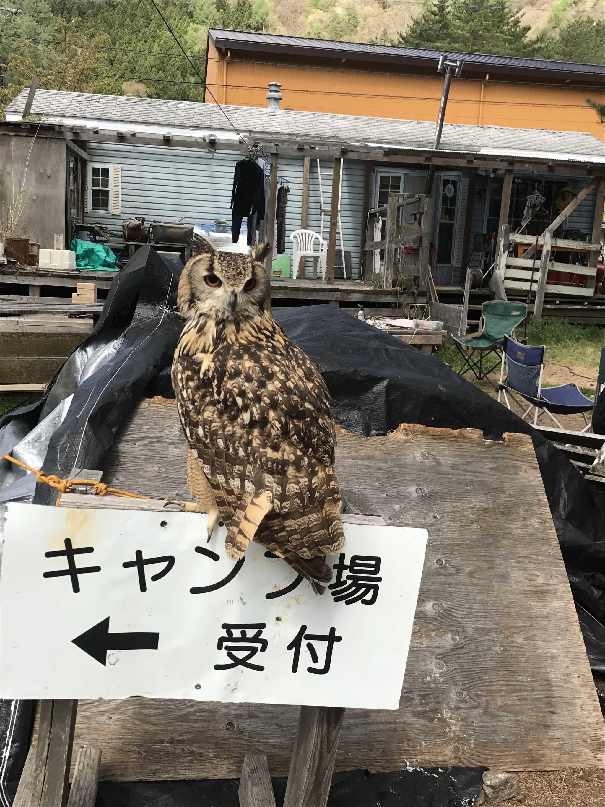 キャンピングリゾートWAN