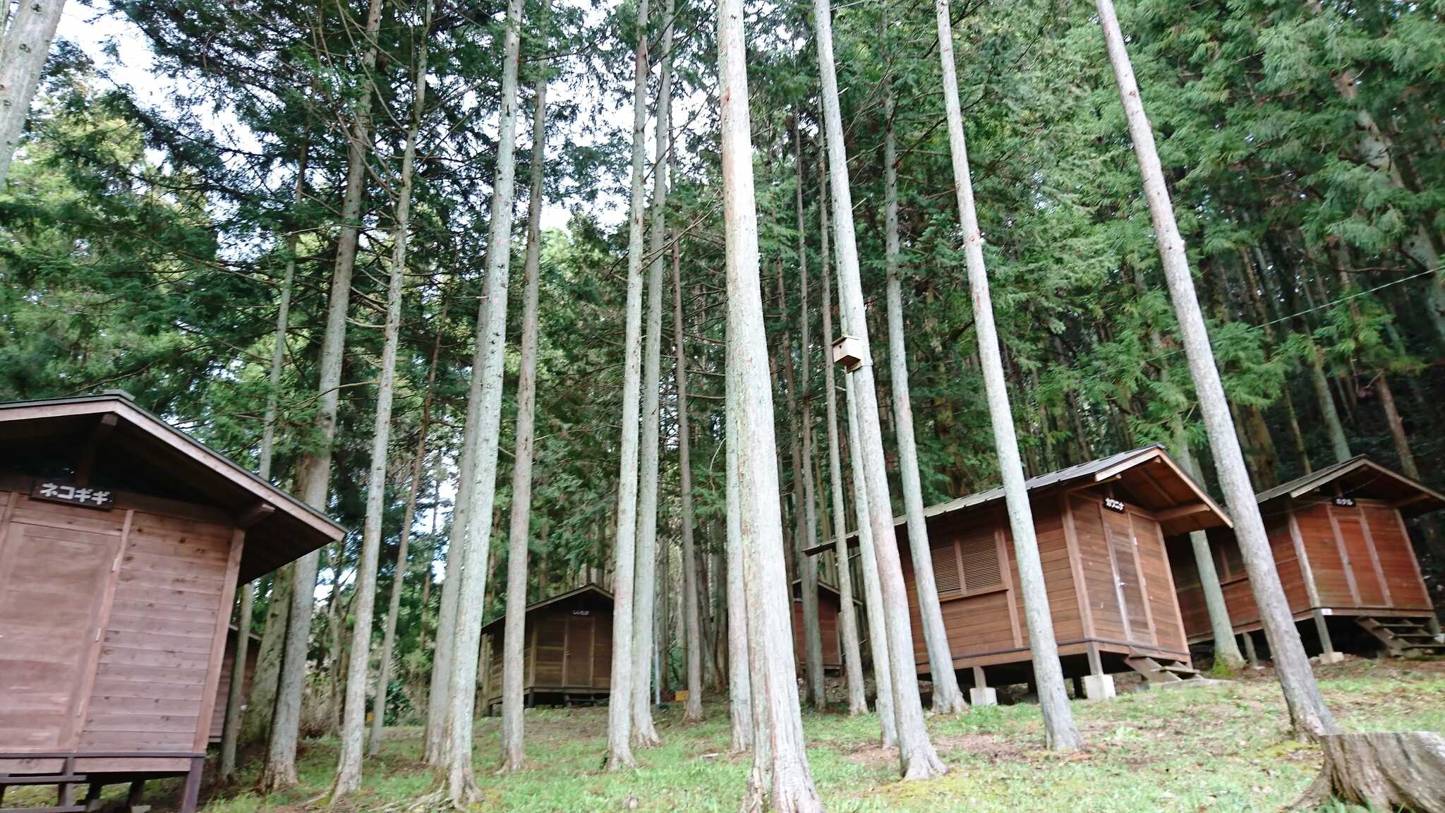 御殿山キャンプ場の写真 5枚目