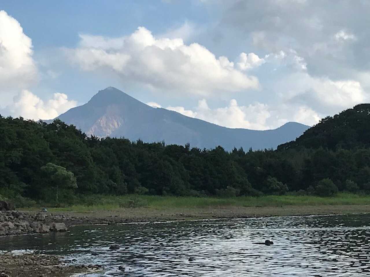こたかもりオートキャンプ場の写真 1枚目