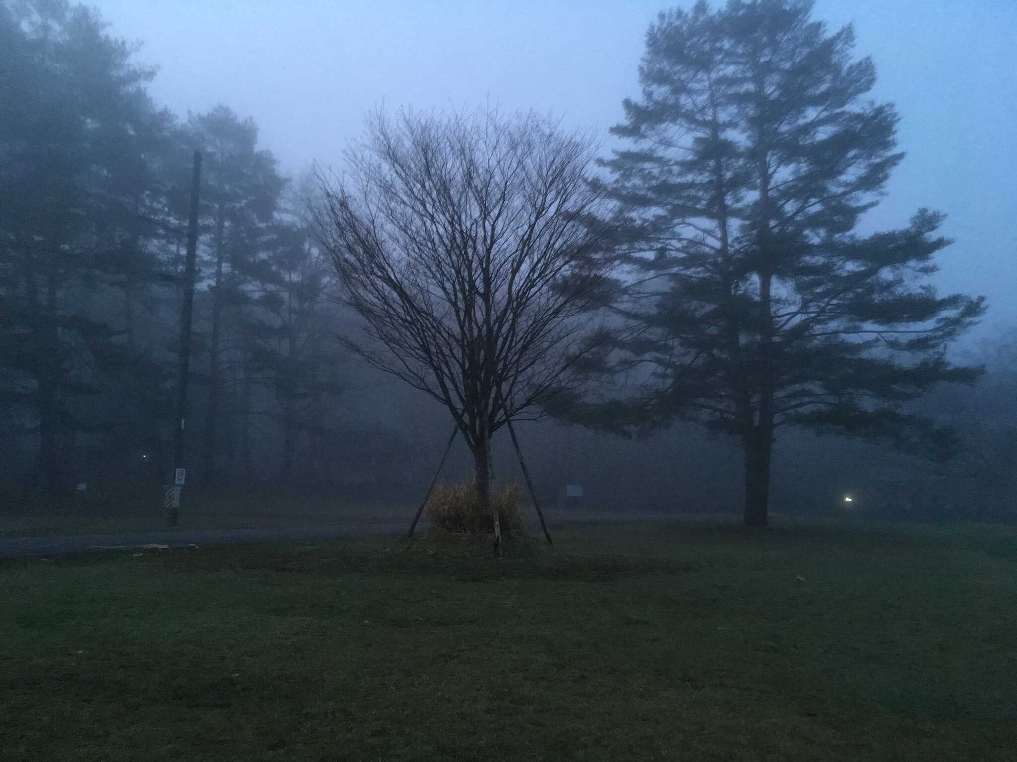 西中国山地国定公園聖湖キャンプ場の写真 4枚目