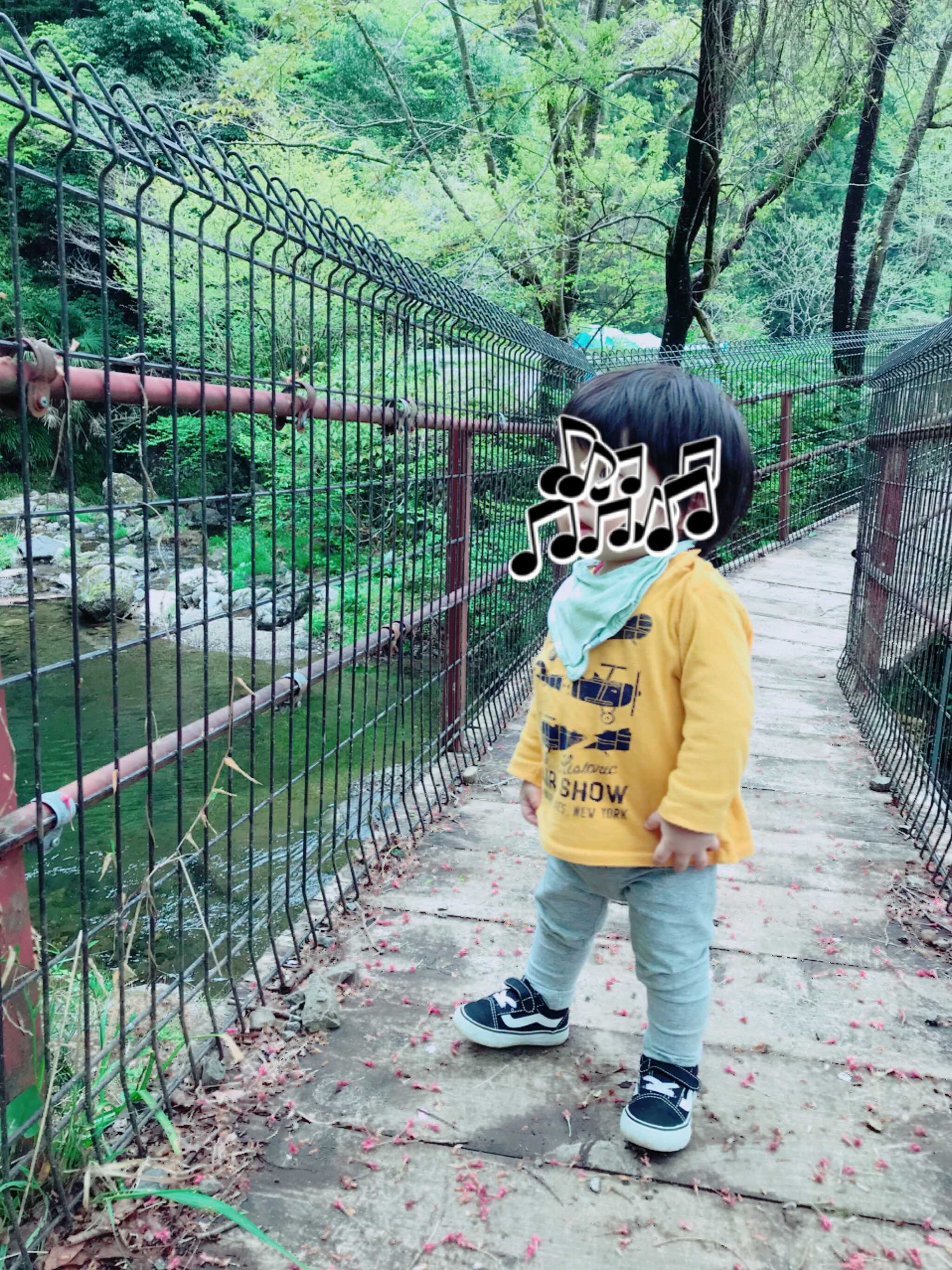 橋