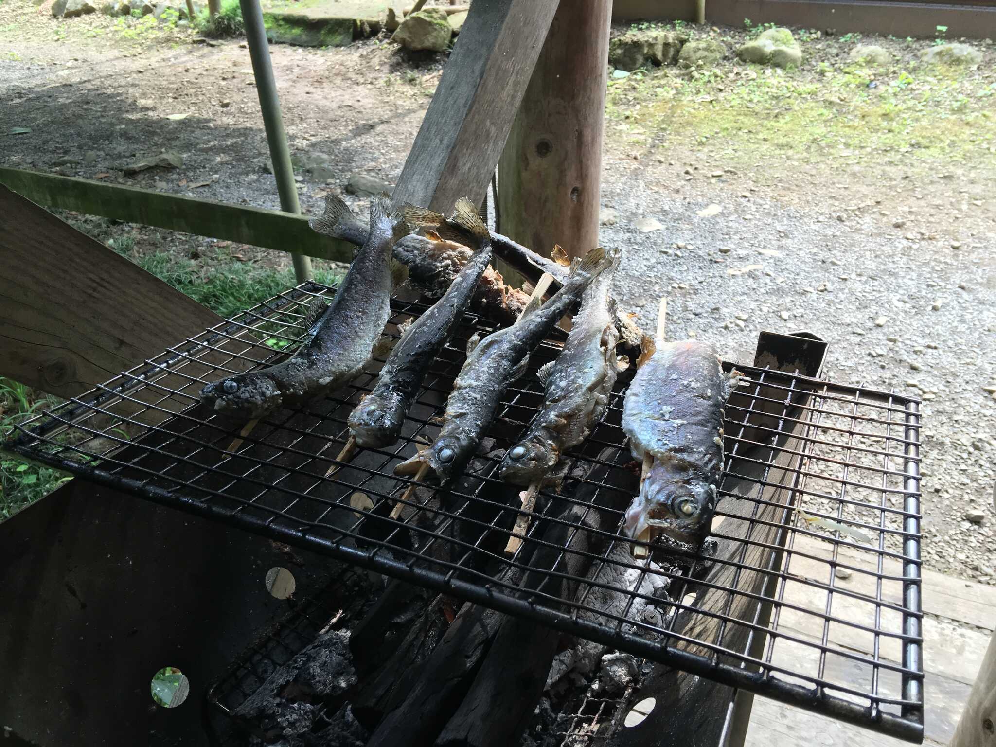 クラインガルテン野良坊の写真 2枚目