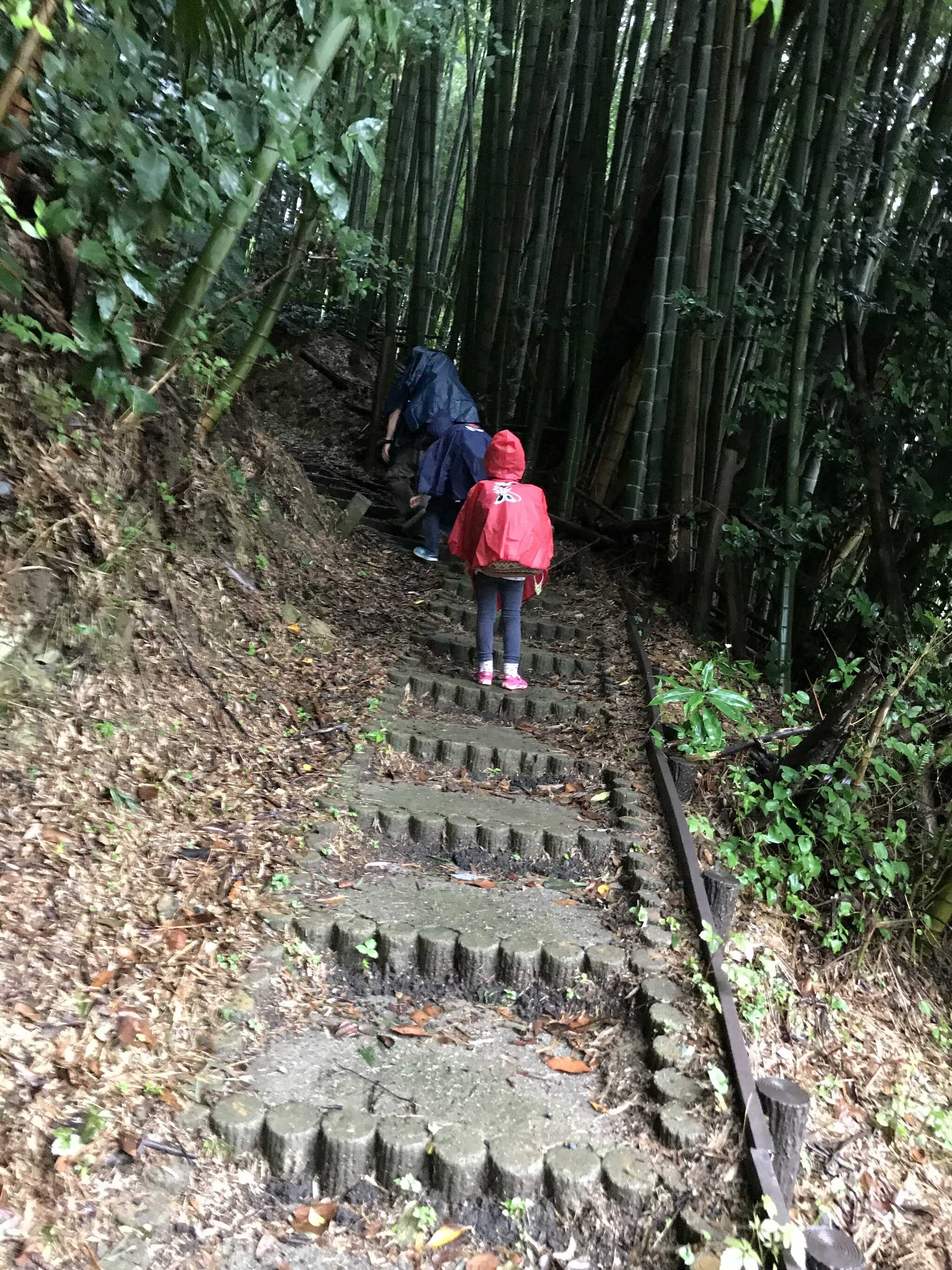 田浦青少年自然の家