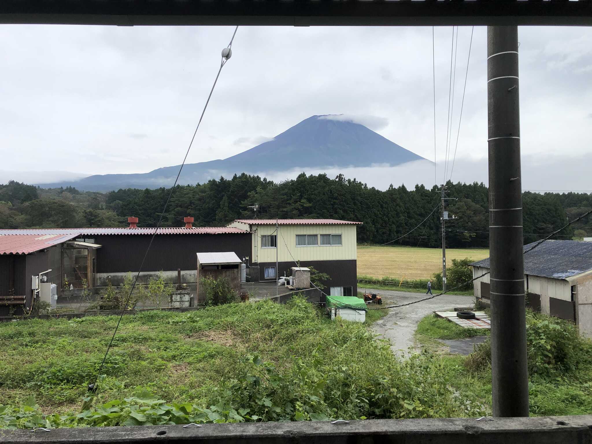 朝だけ富士山見れました