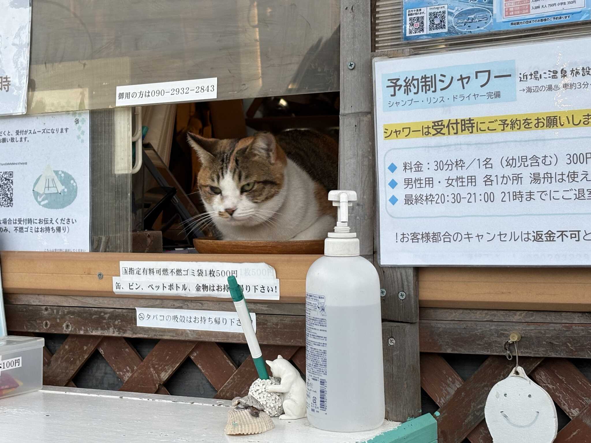 看板猫