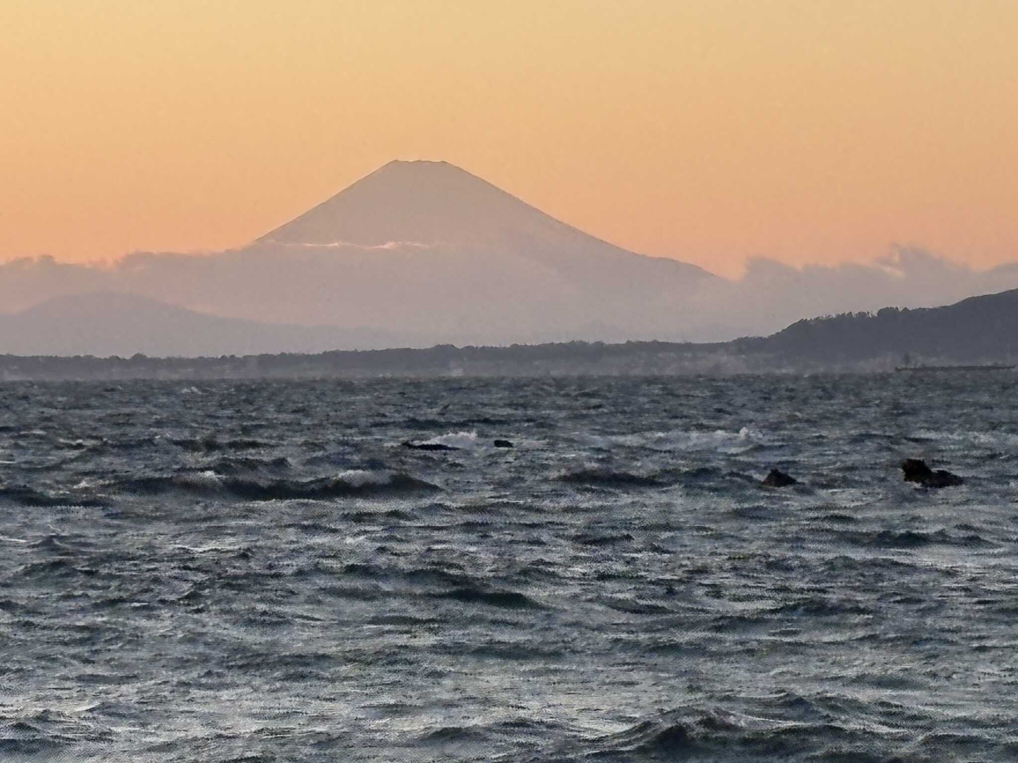 富士山も見えるかも