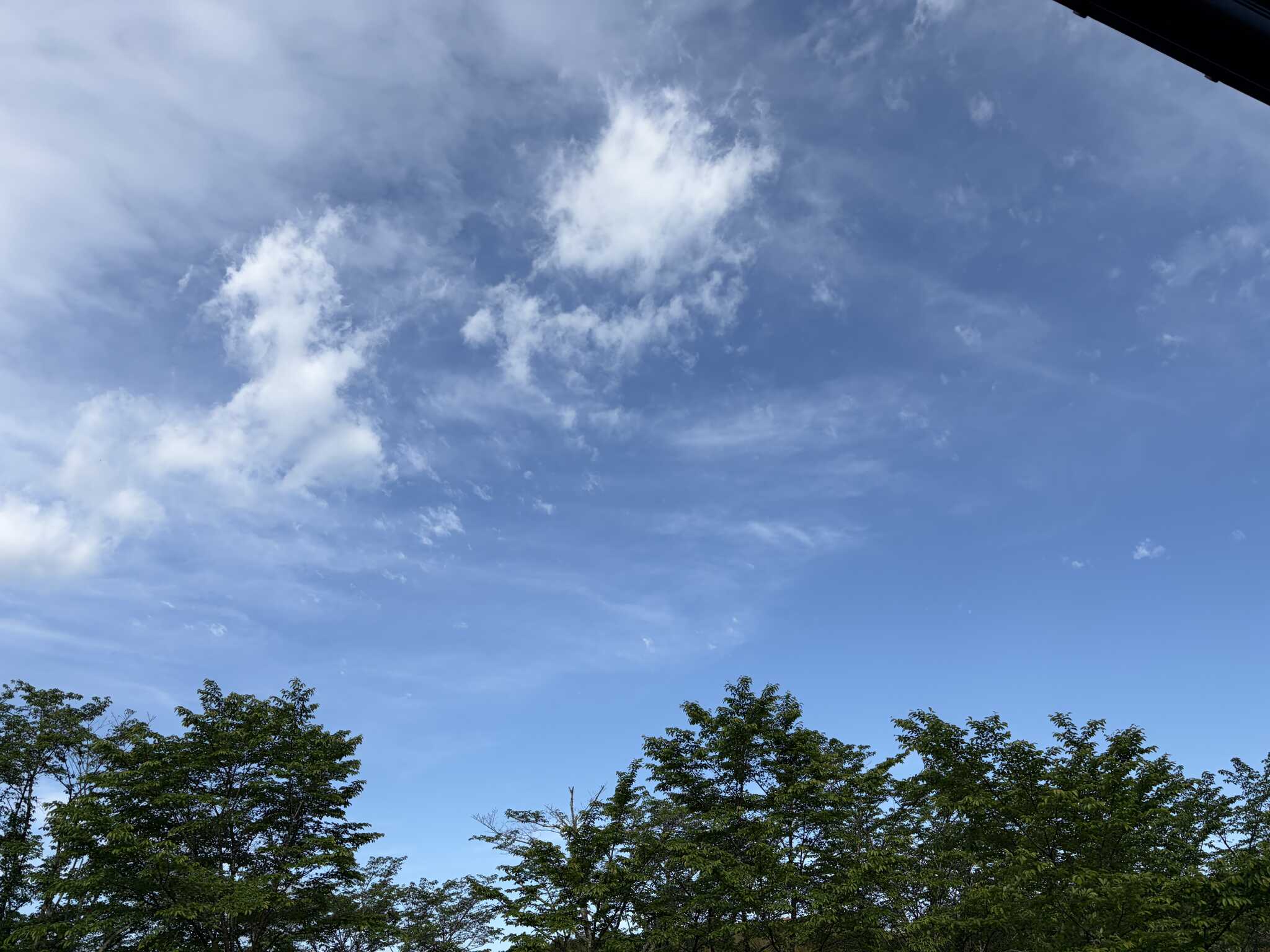 2日目の朝