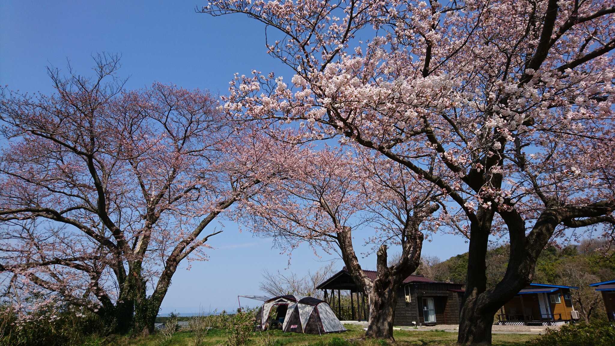 こんな感じです