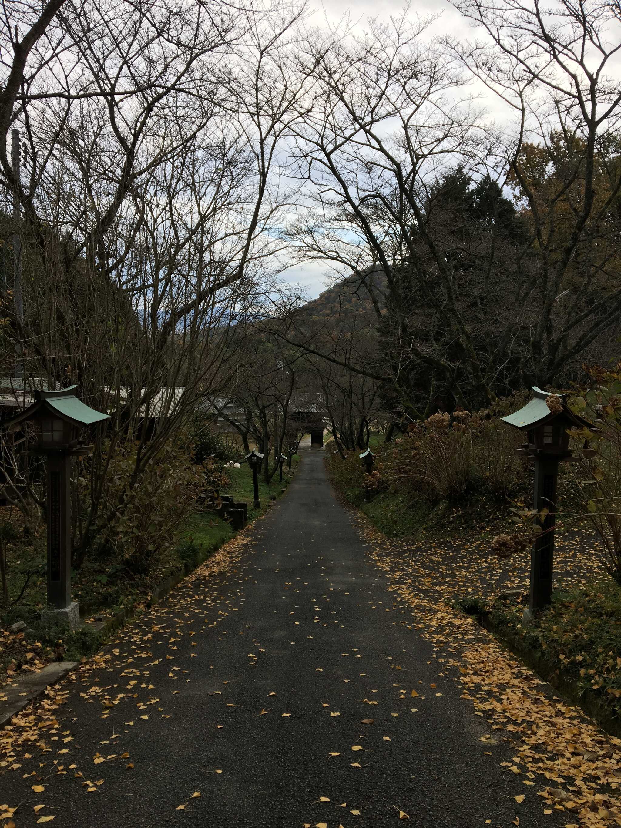 幡降野営場の写真 5枚目
