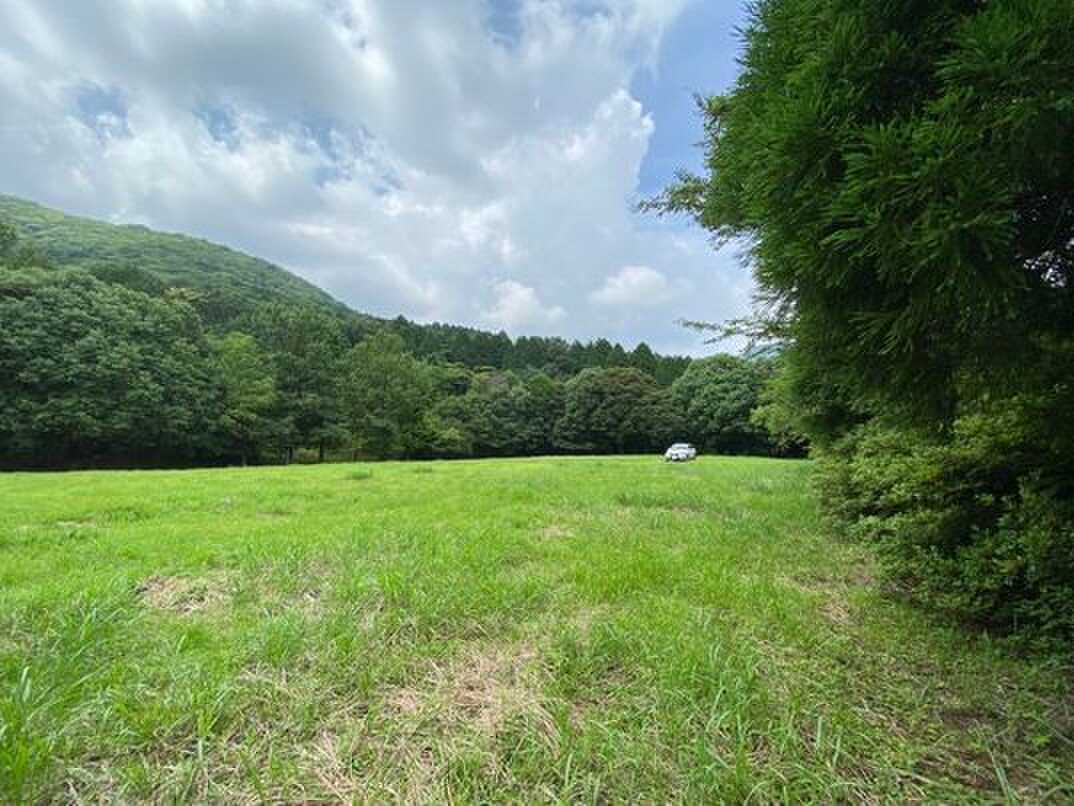 広々な広場で犬も喜んでいました