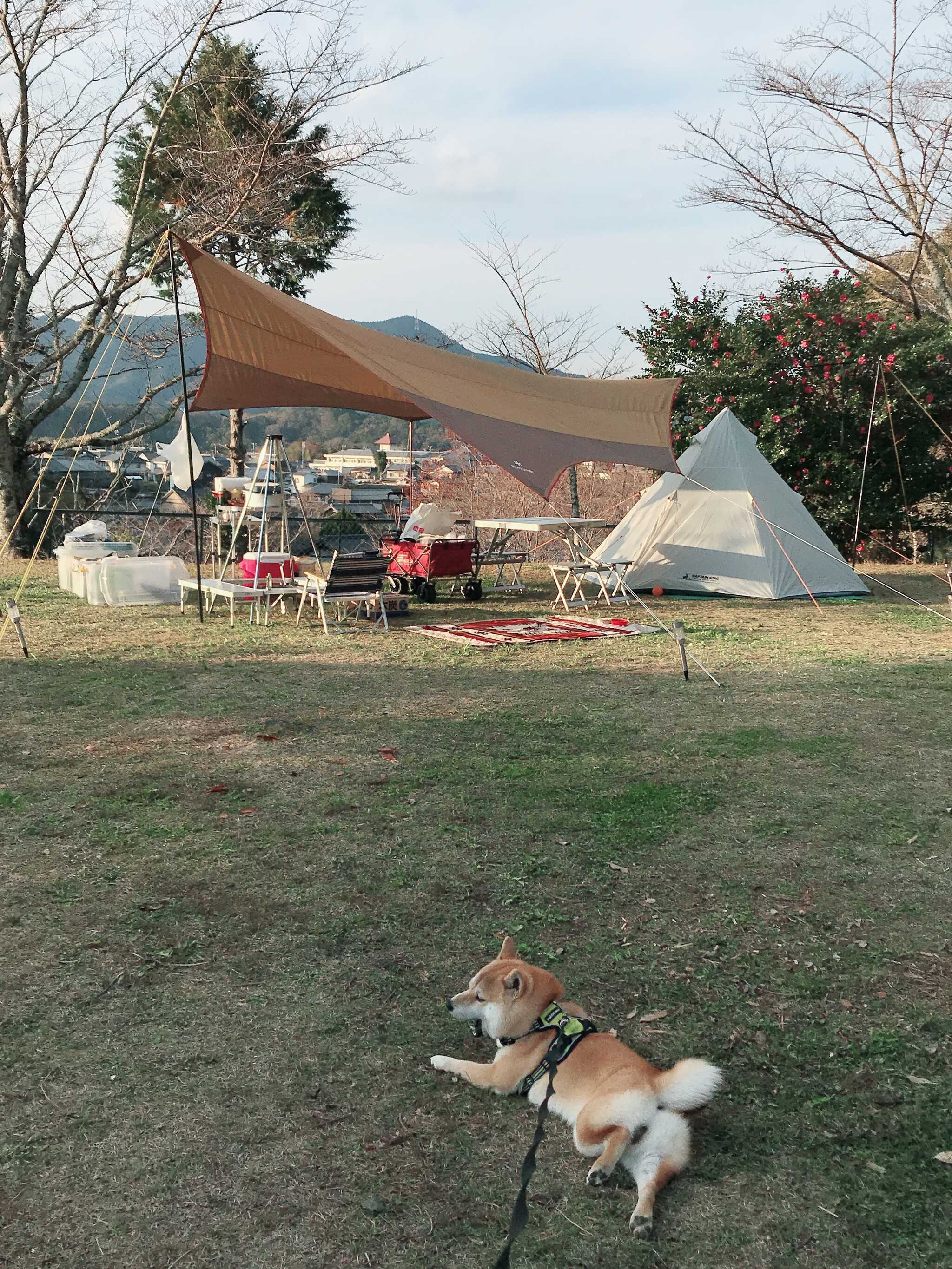 広いぞー
