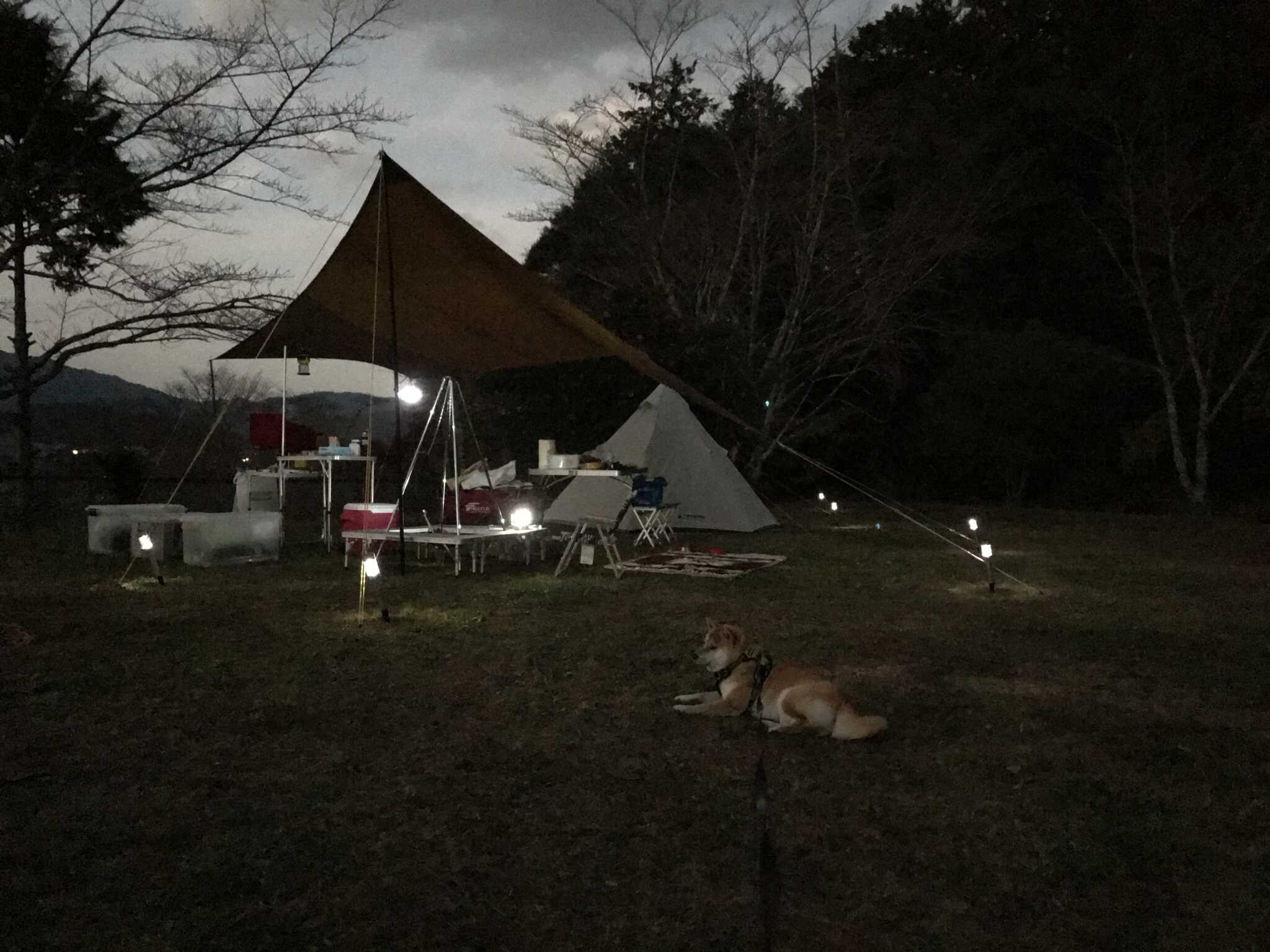 夕暮れ