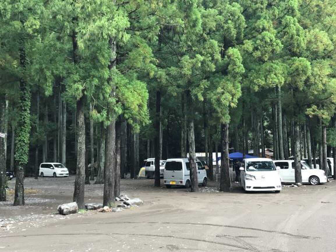 谷瀬つり橋オートキャンプ場の写真 4枚目