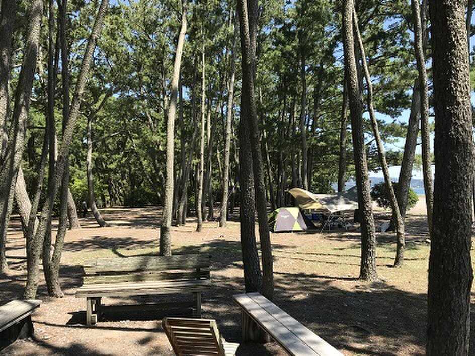煙樹海岸キャンプ場の写真 3枚目