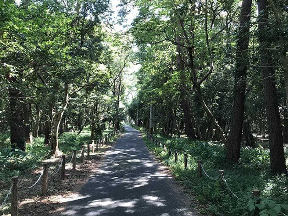 煙樹海岸キャンプ場の写真 4枚目