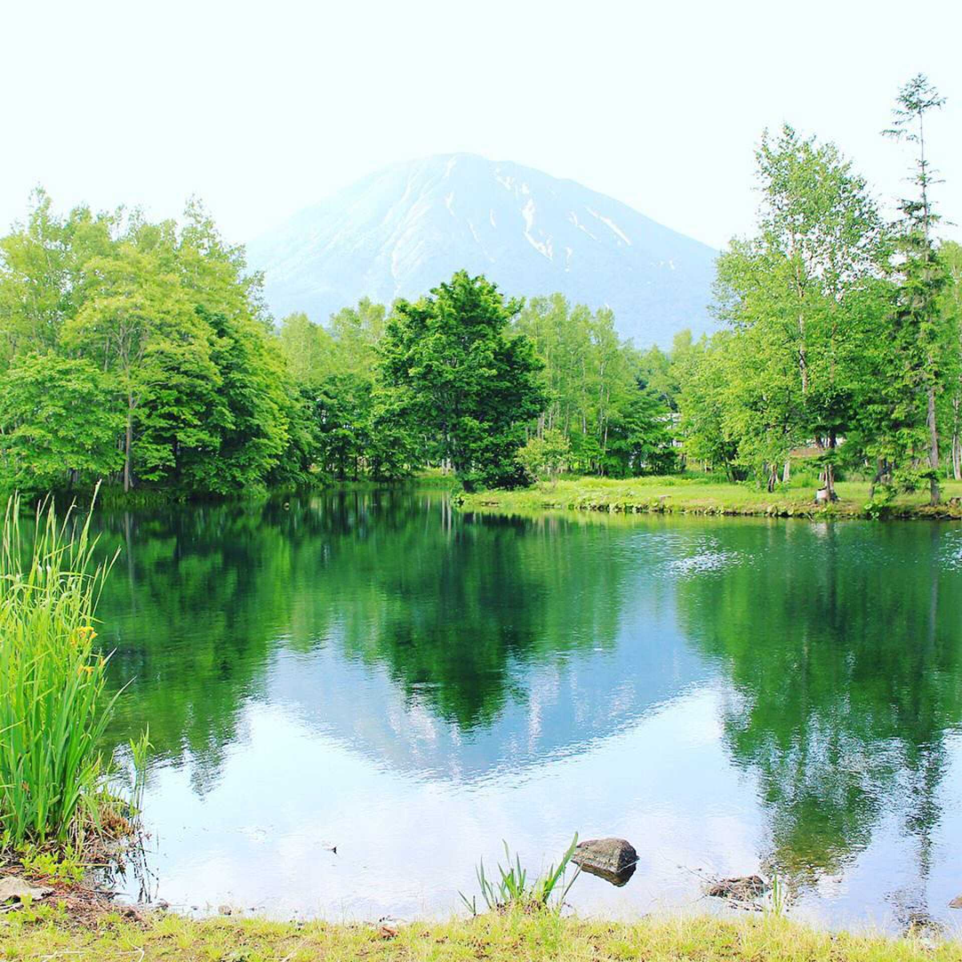 羊蹄山が本当にキレイです