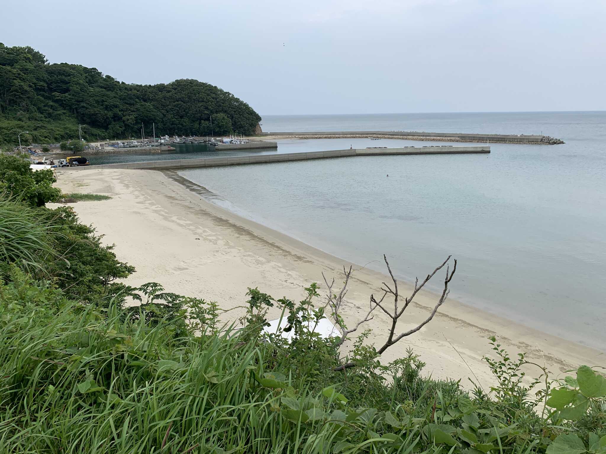 海岸を一望できる立地