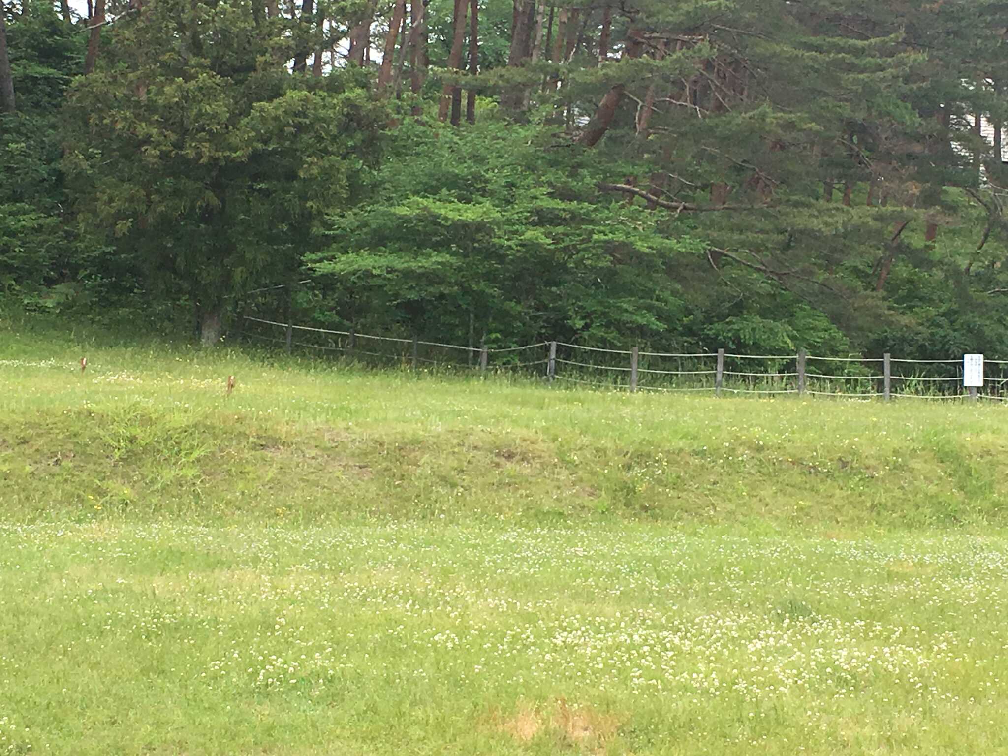 森林公園町民の森松島町野外活動センターの写真 5枚目