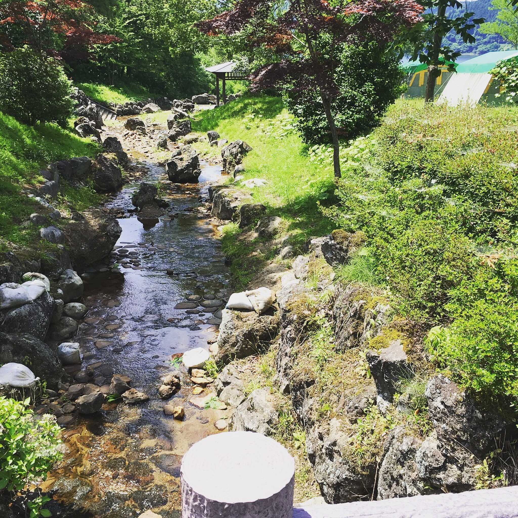 花山青少年旅行村の写真 3枚目