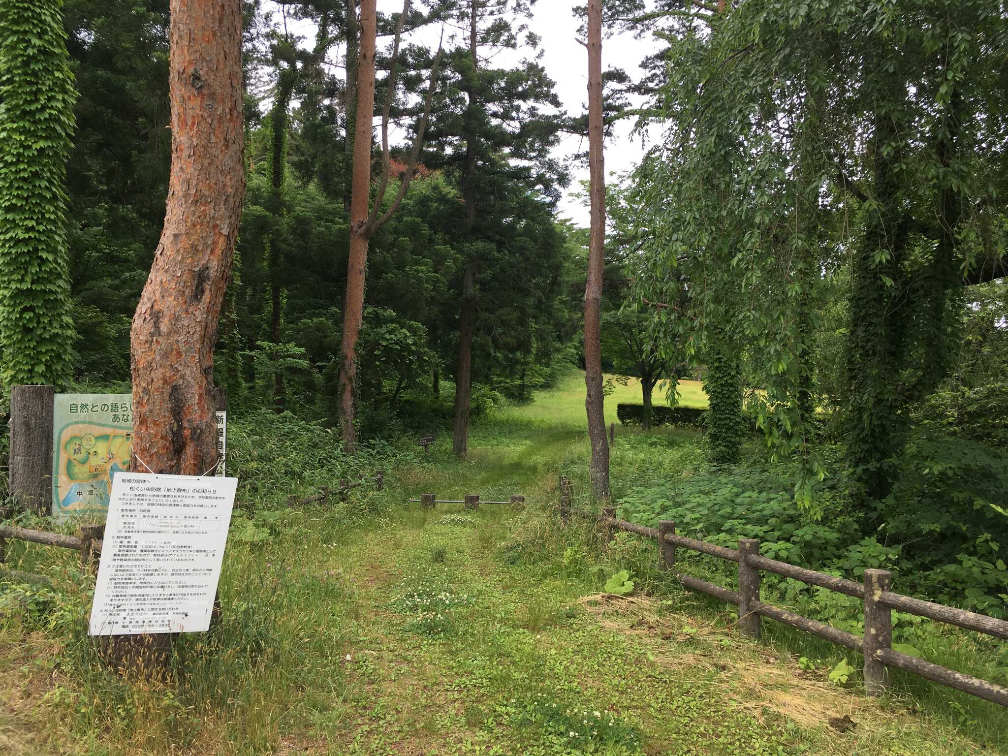 新堤自然公園 レークキャンプ広場の写真 3枚目