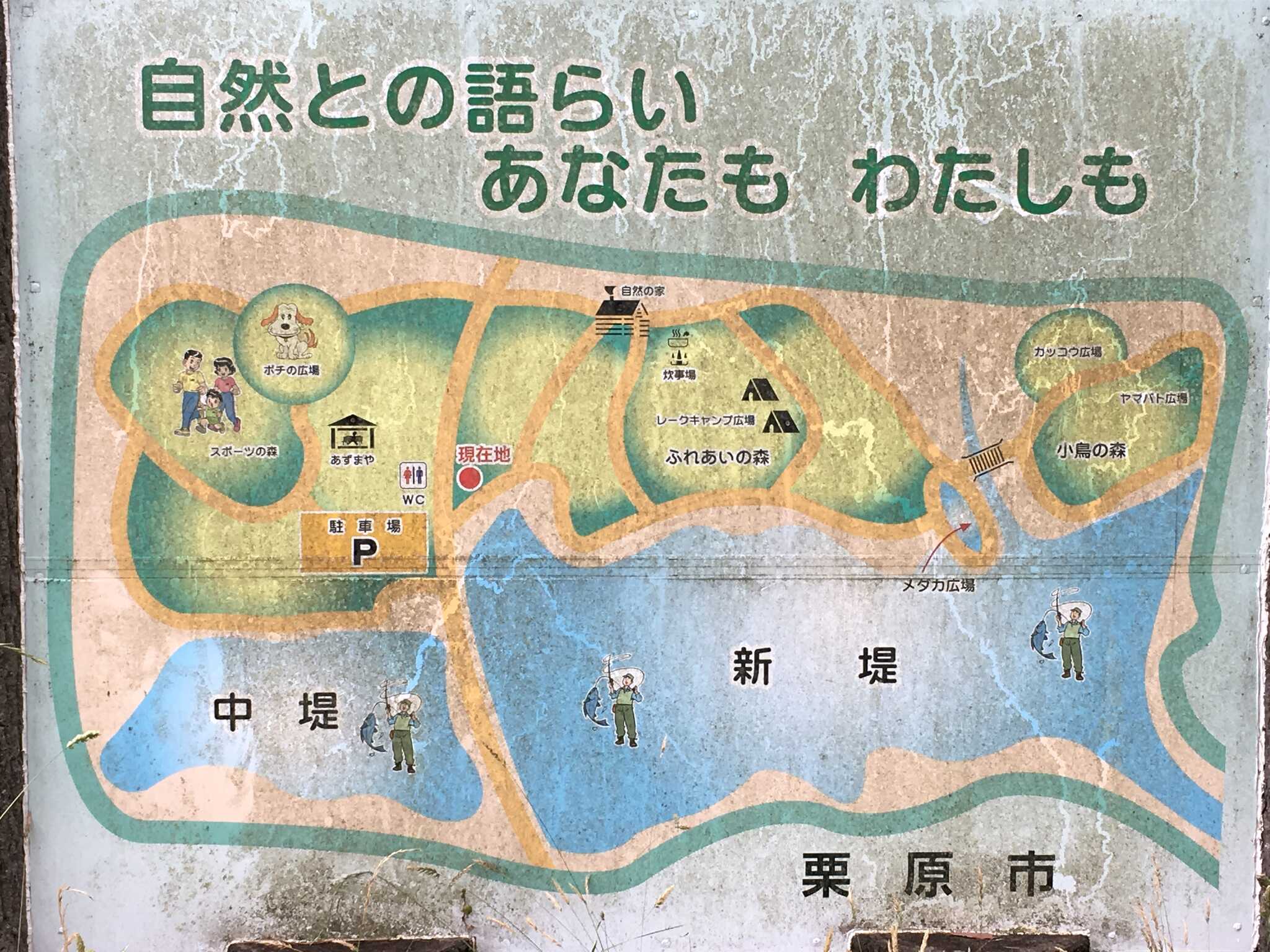新堤自然公園 レークキャンプ広場の写真 4枚目