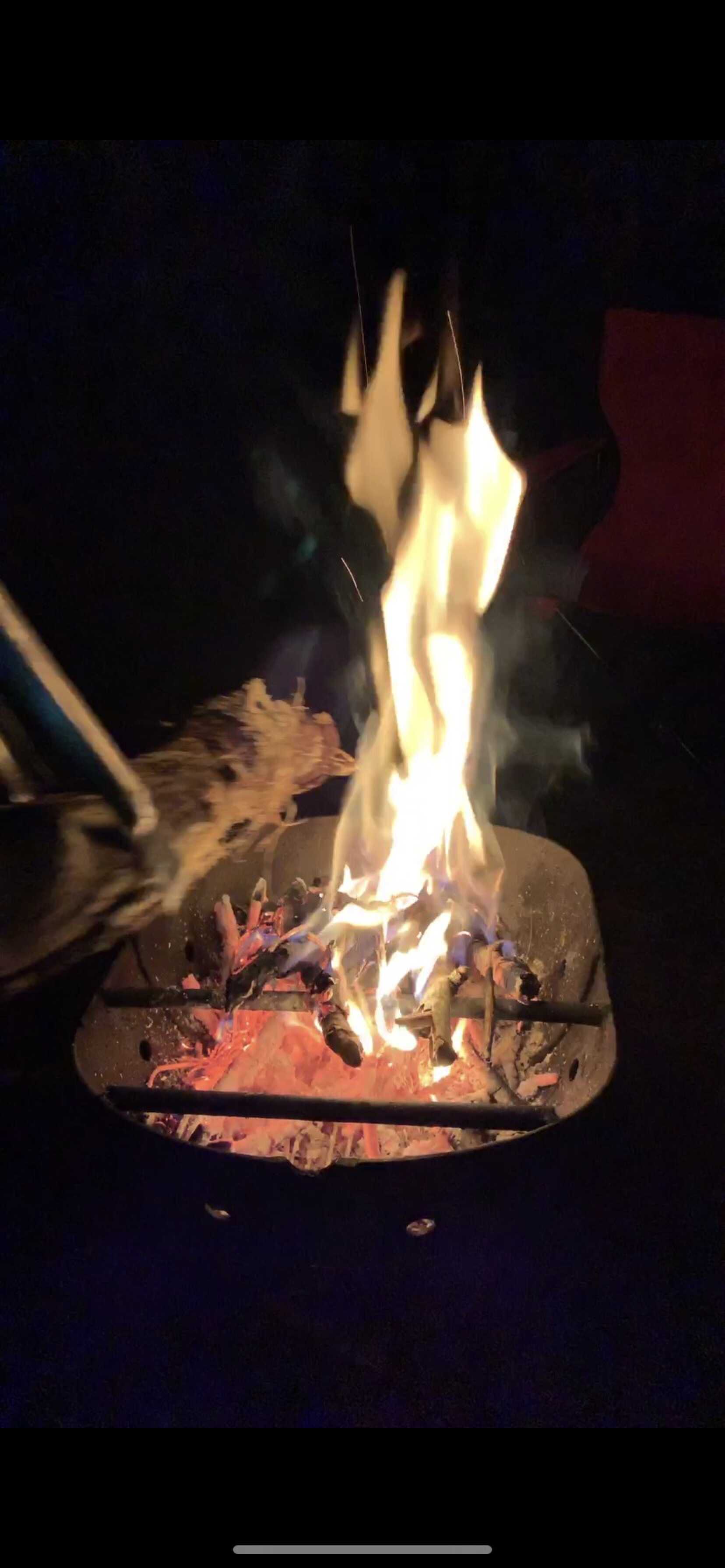 レンタルした焚き火台