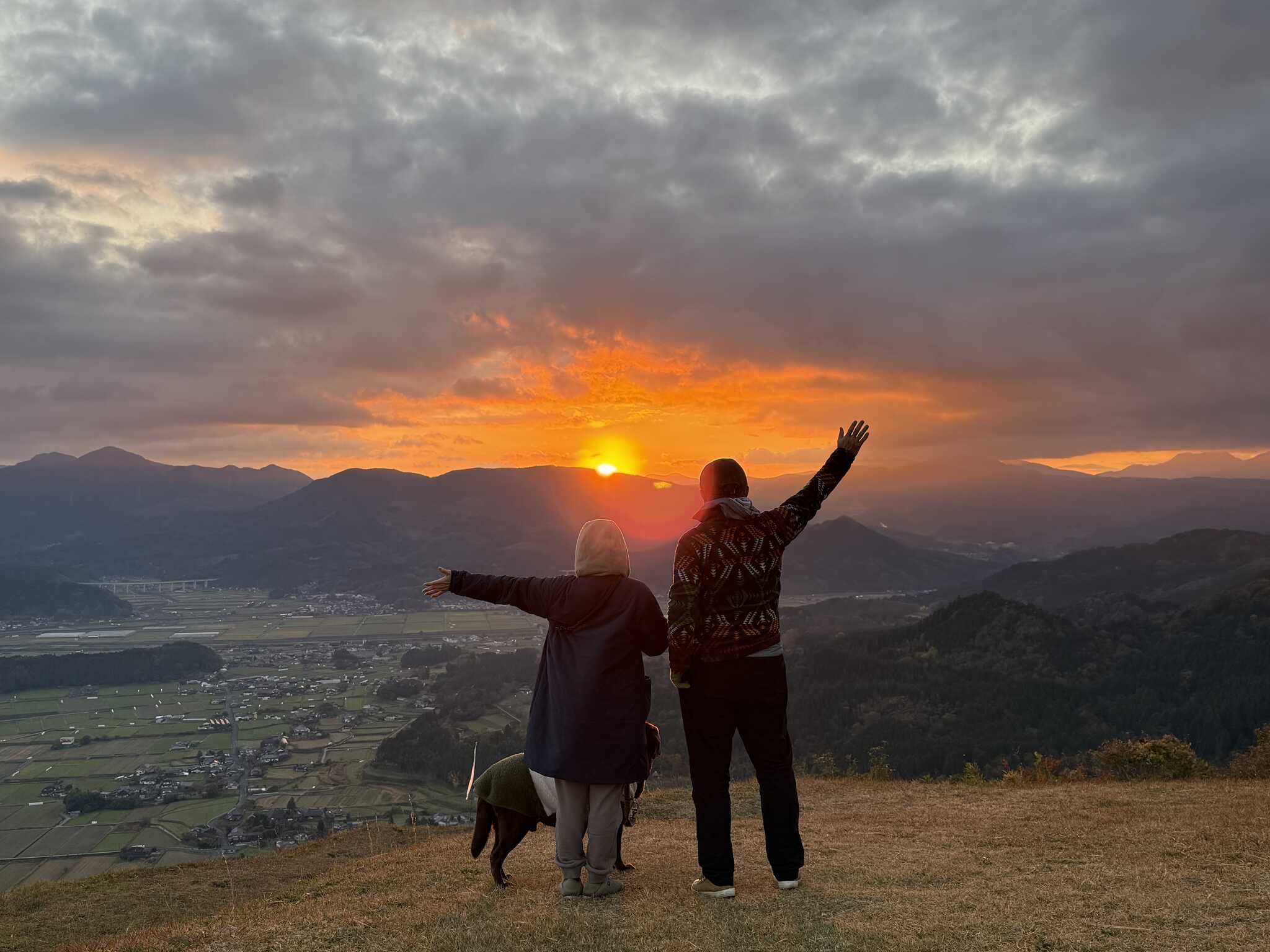 伐採山