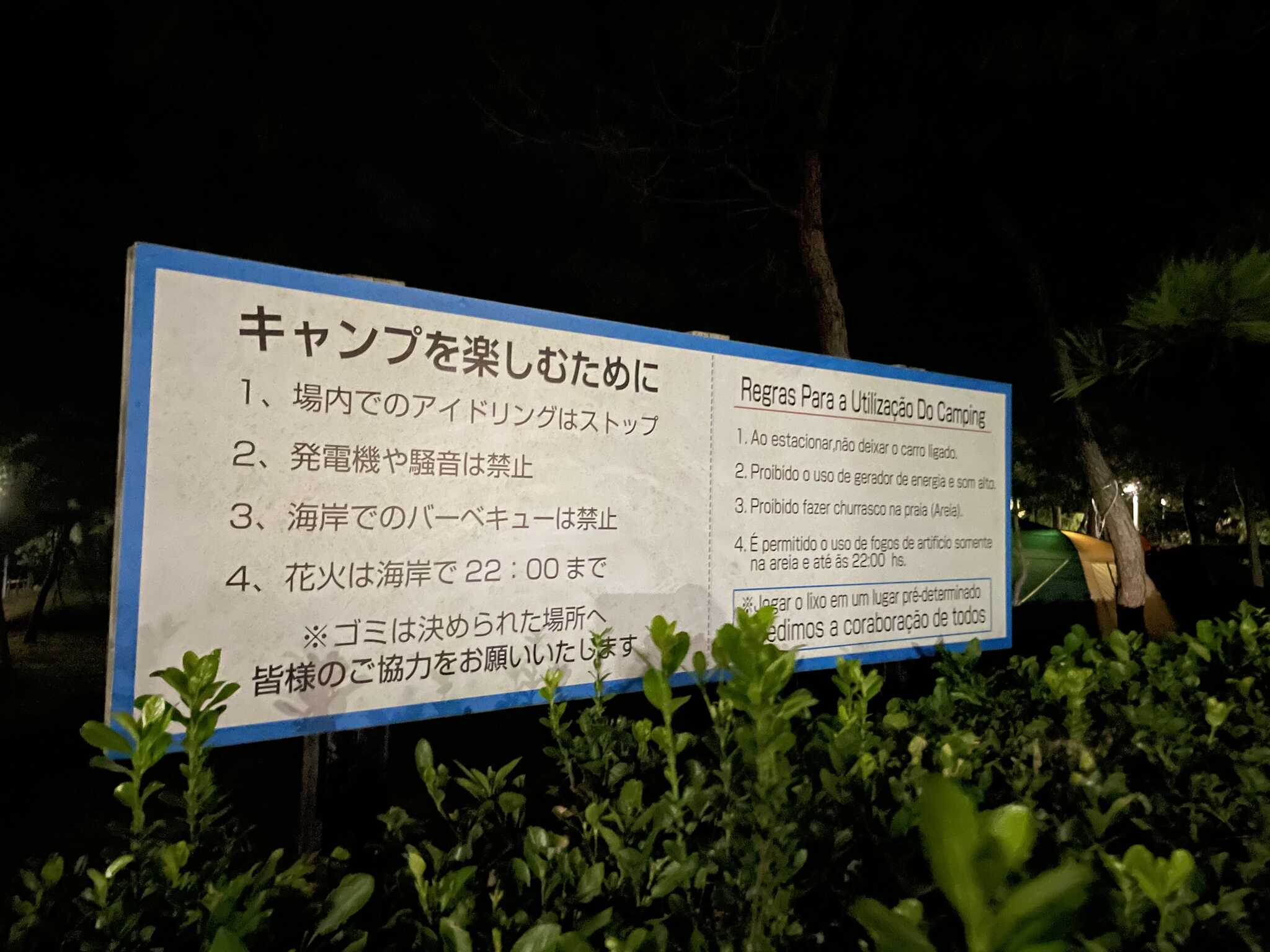 大下キャンプ場の写真 5枚目