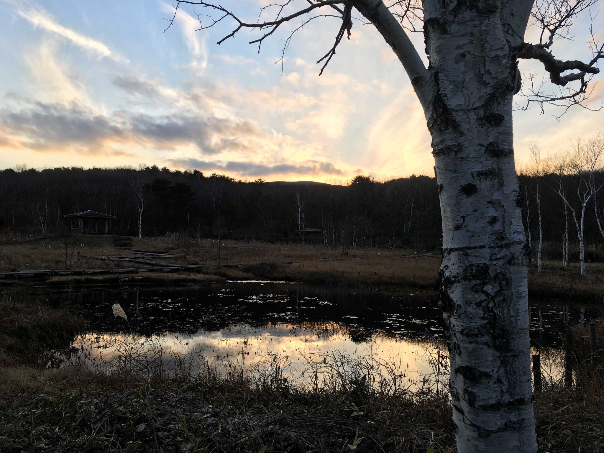 湿地帯夕景