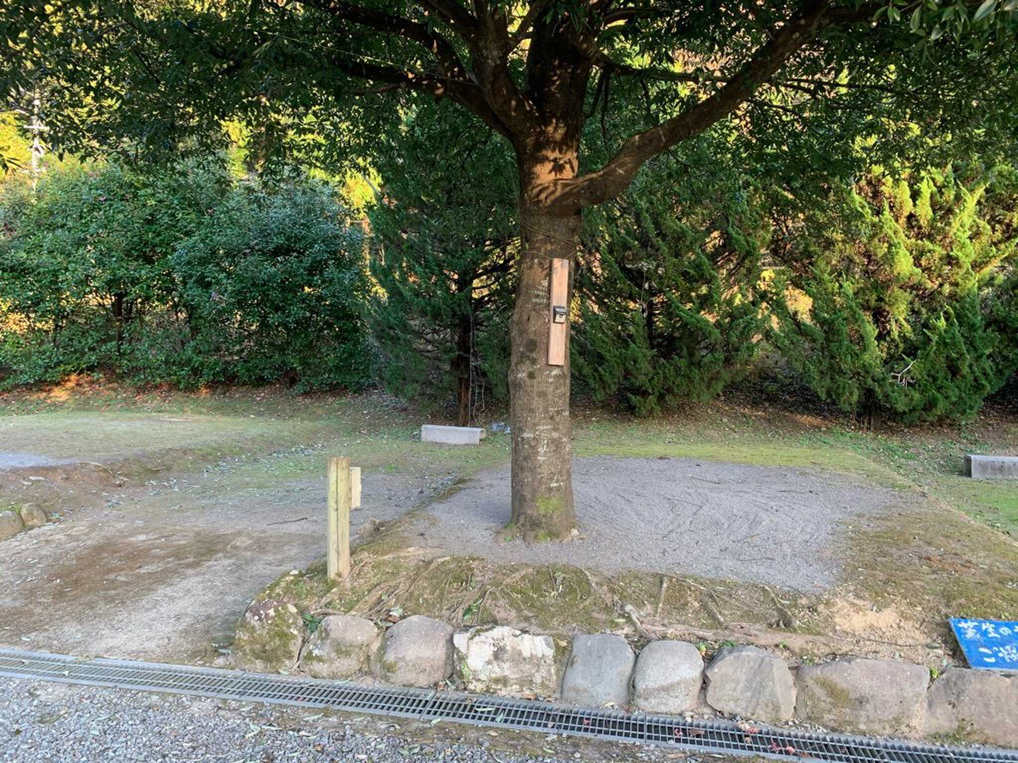 亀淵オートキャンプ場の写真 1枚目
