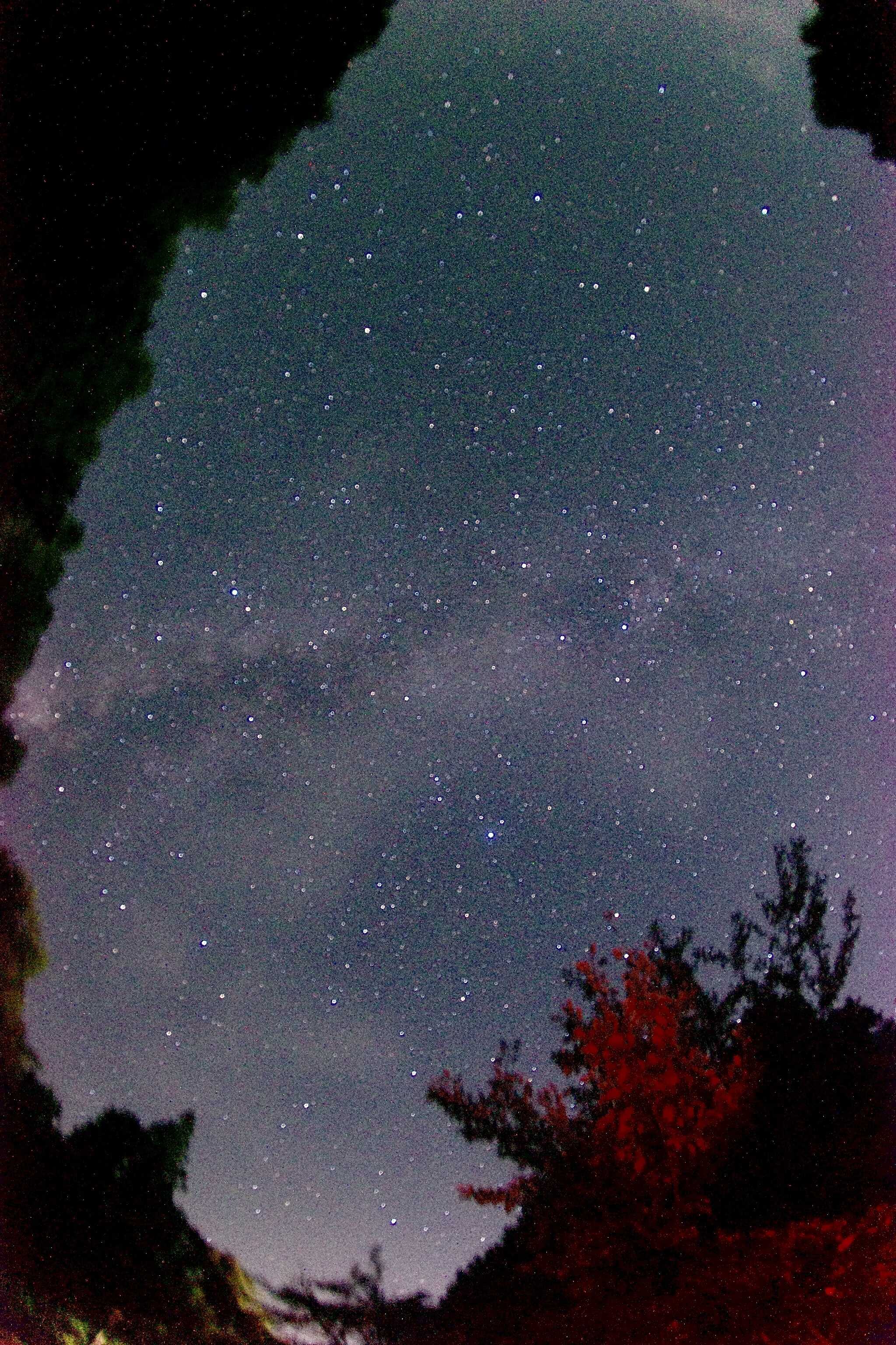 星空(天の川)