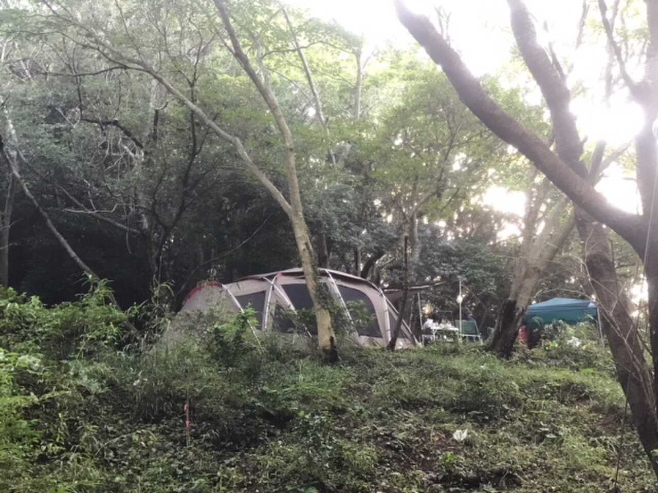 外から見るとこんな感じ