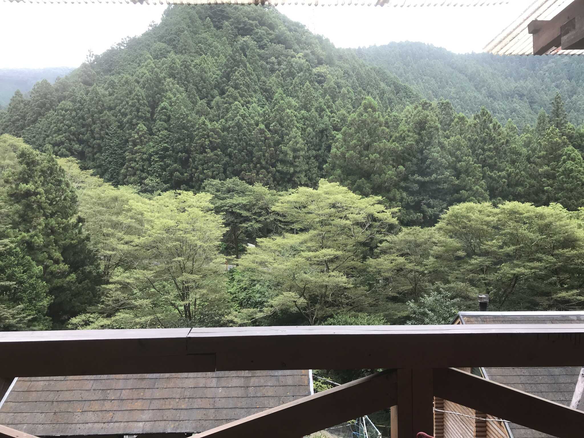 クラインガルテン野良坊の写真 3枚目