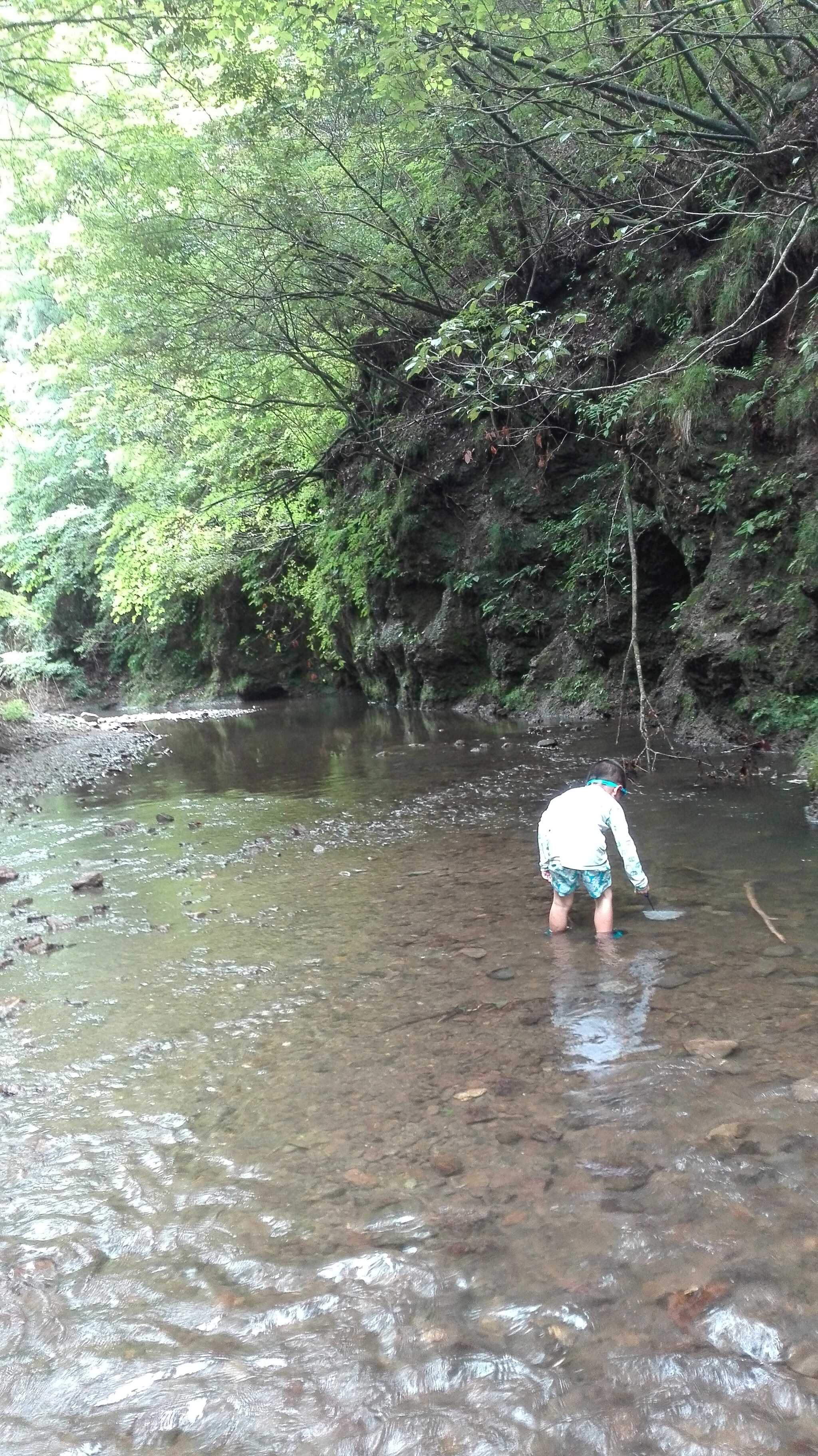 藤野芸術の家の写真 4枚目