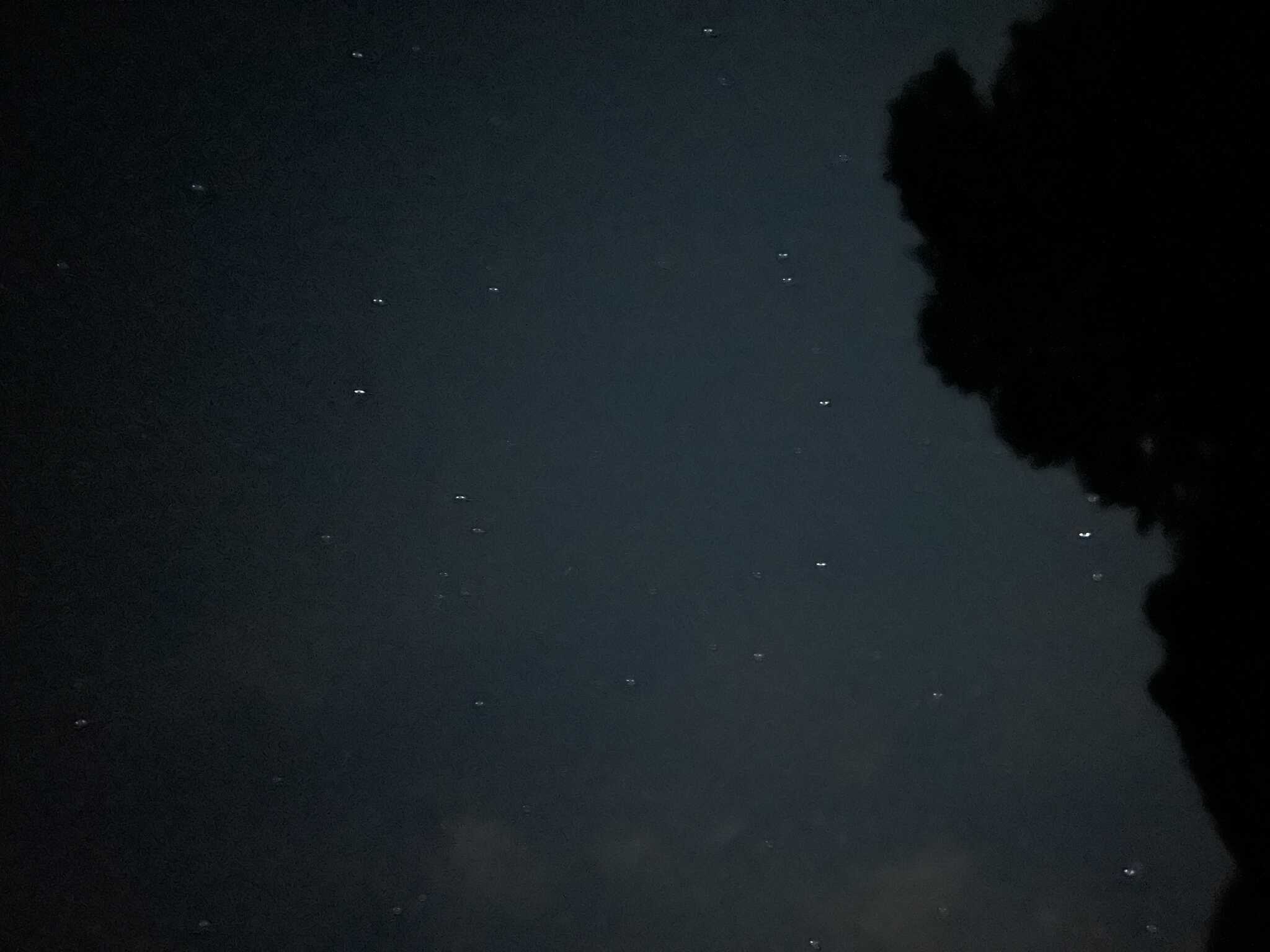 夜の星空