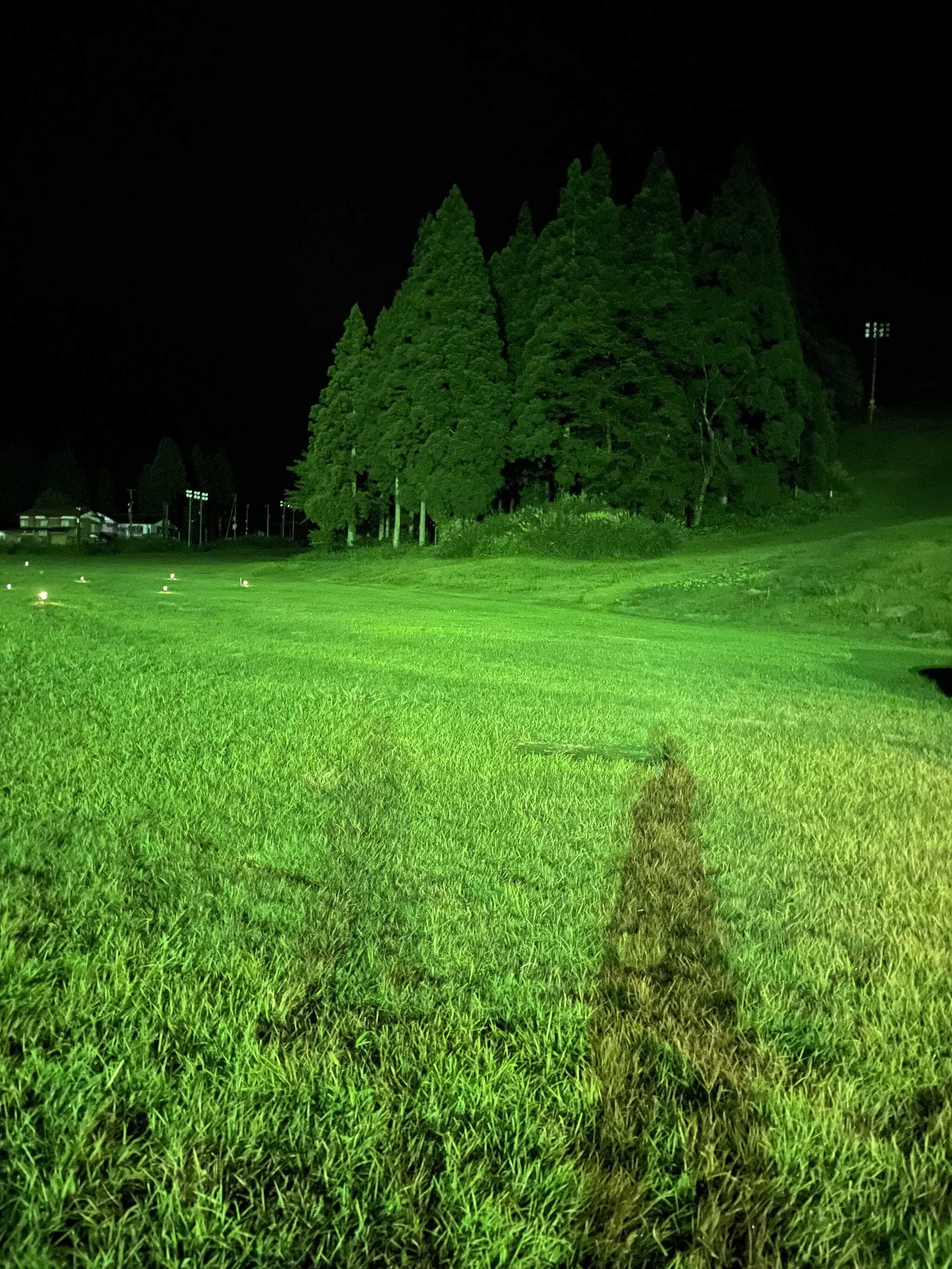 夜のサイト