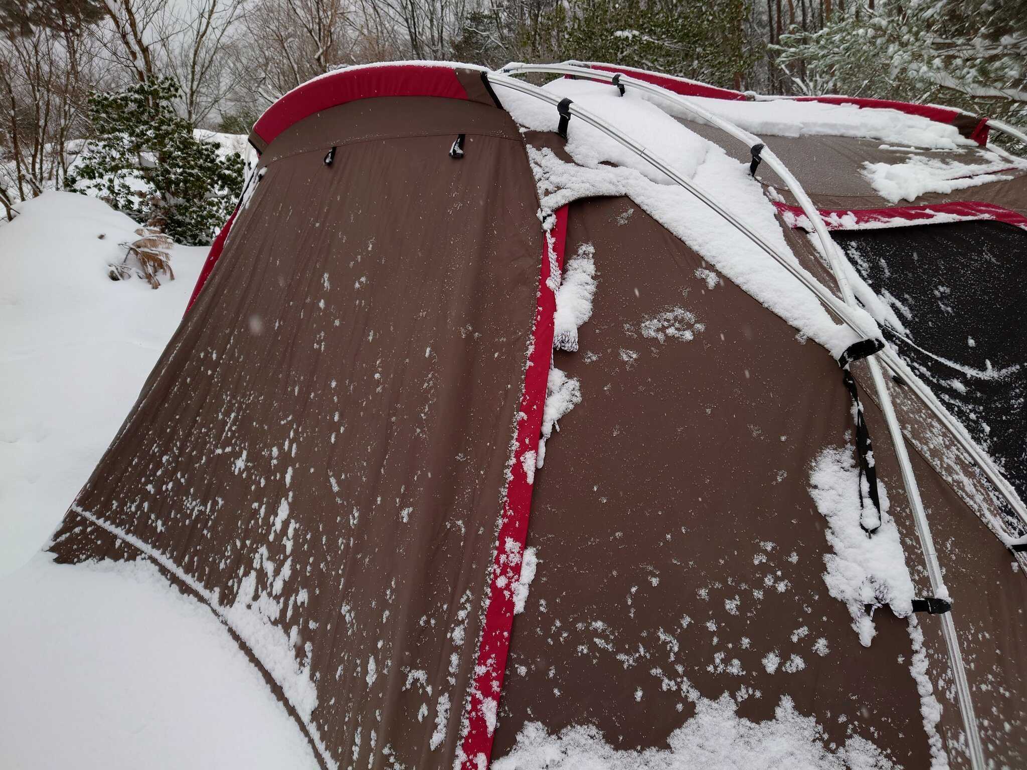 2日目朝。すっかり雪に埋もれていました