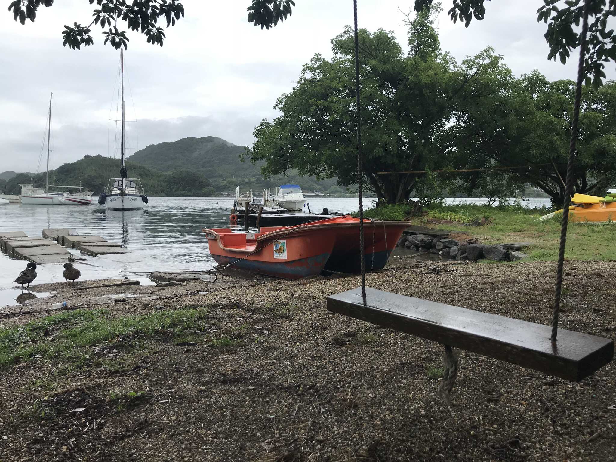 港にはブランコも