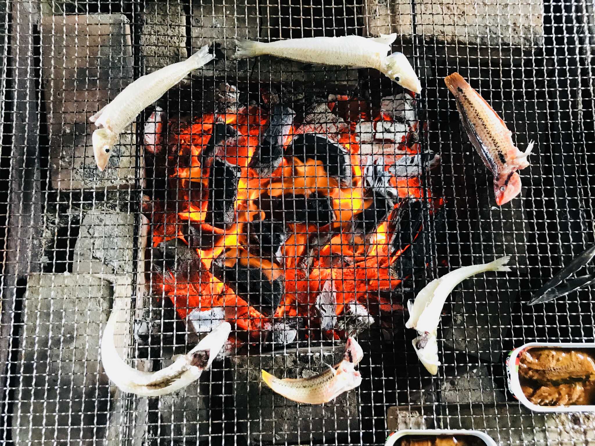 自分で釣った魚を焼いて食べる