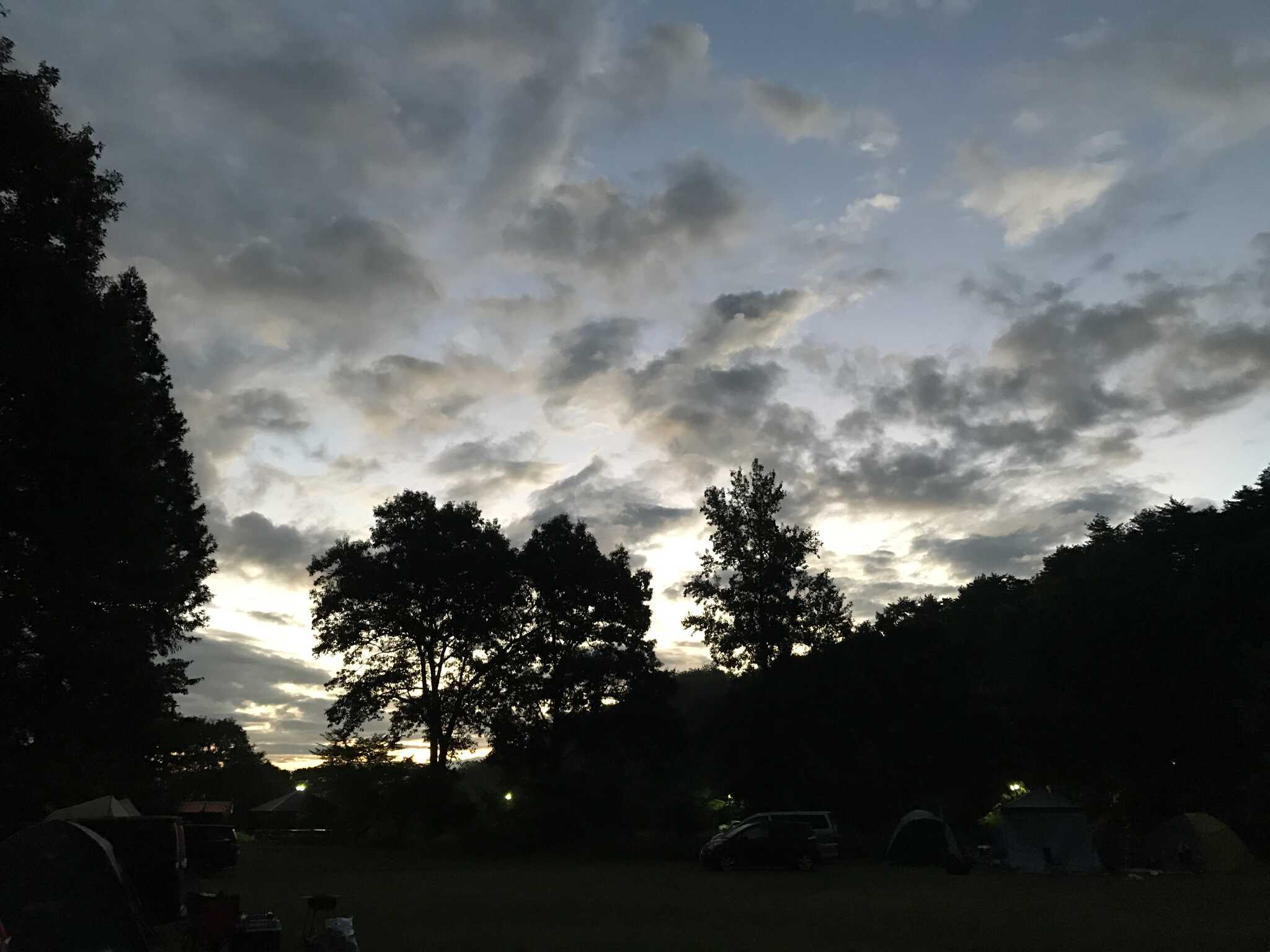 朝方