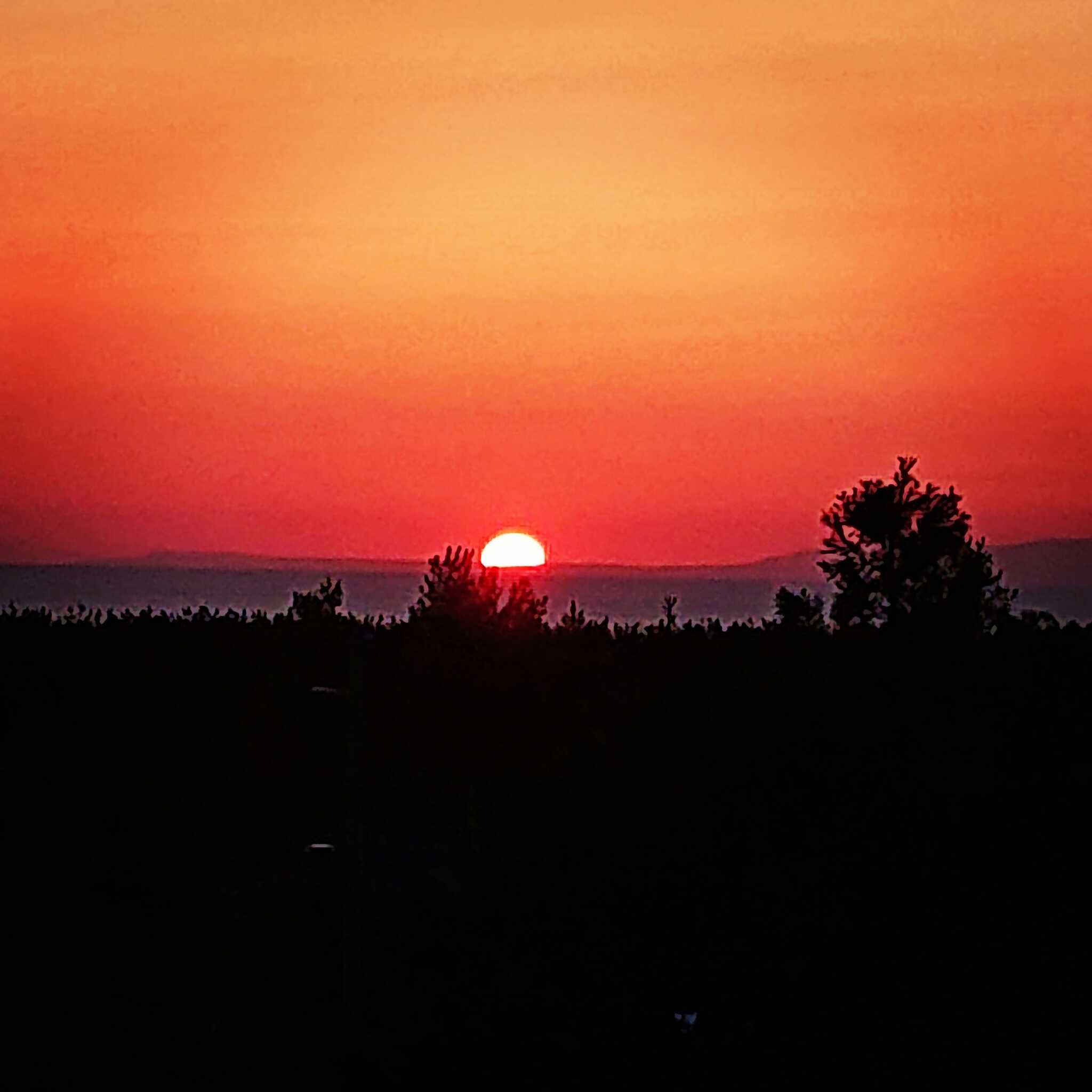 サイトからの夕陽