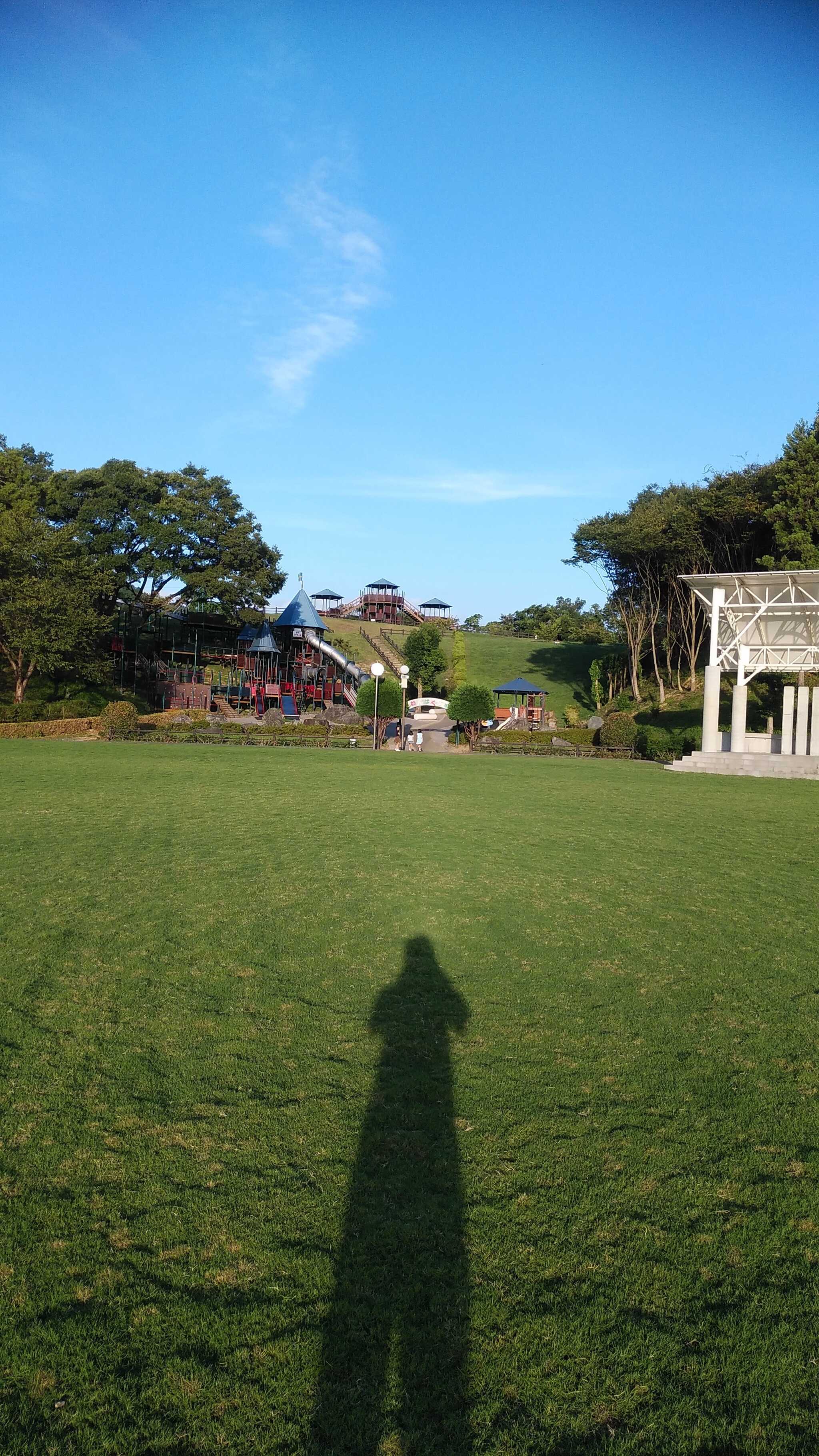 公園の芝生