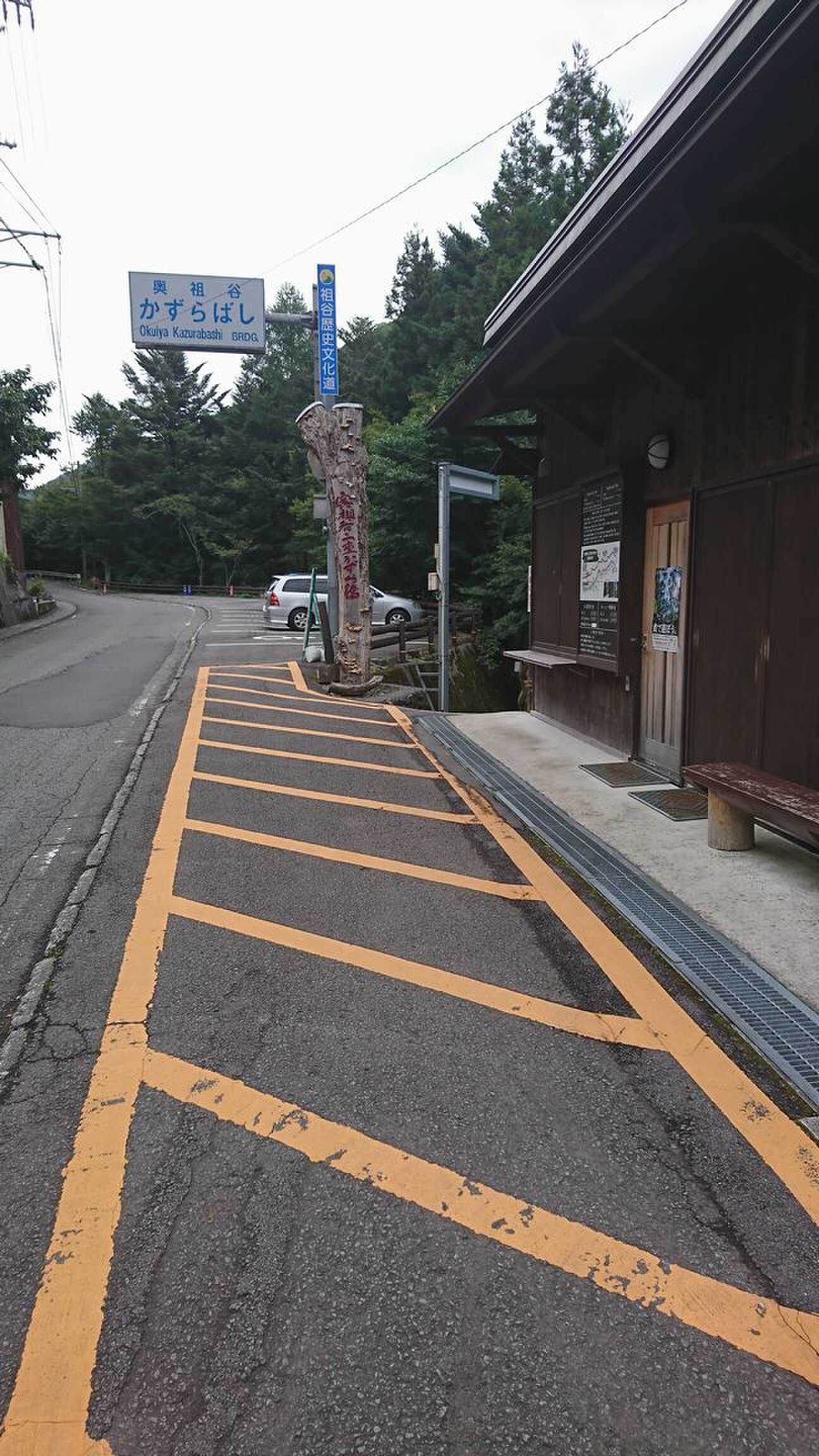奥祖谷二重かずら橋キャンプ場の写真 4枚目