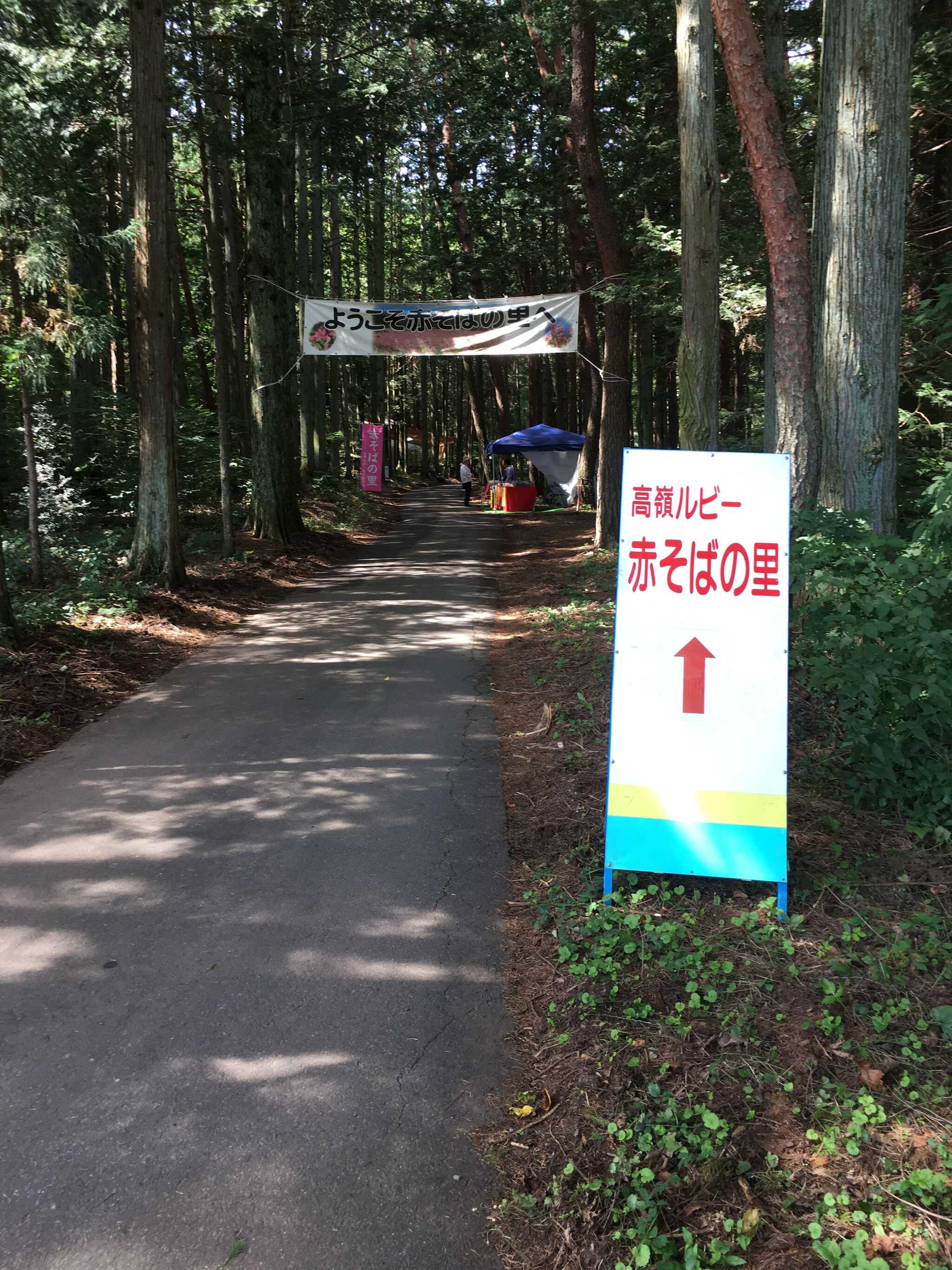 しだれ栗森林公園キャンプ場の写真 3枚目