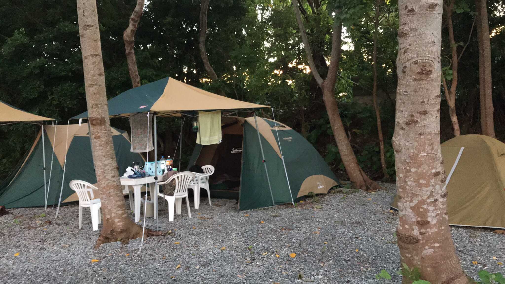 キャンプ場