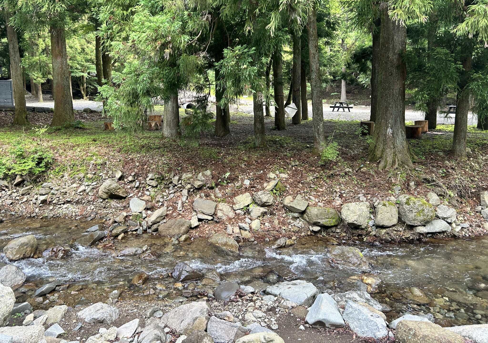 サイトからの川の眺め