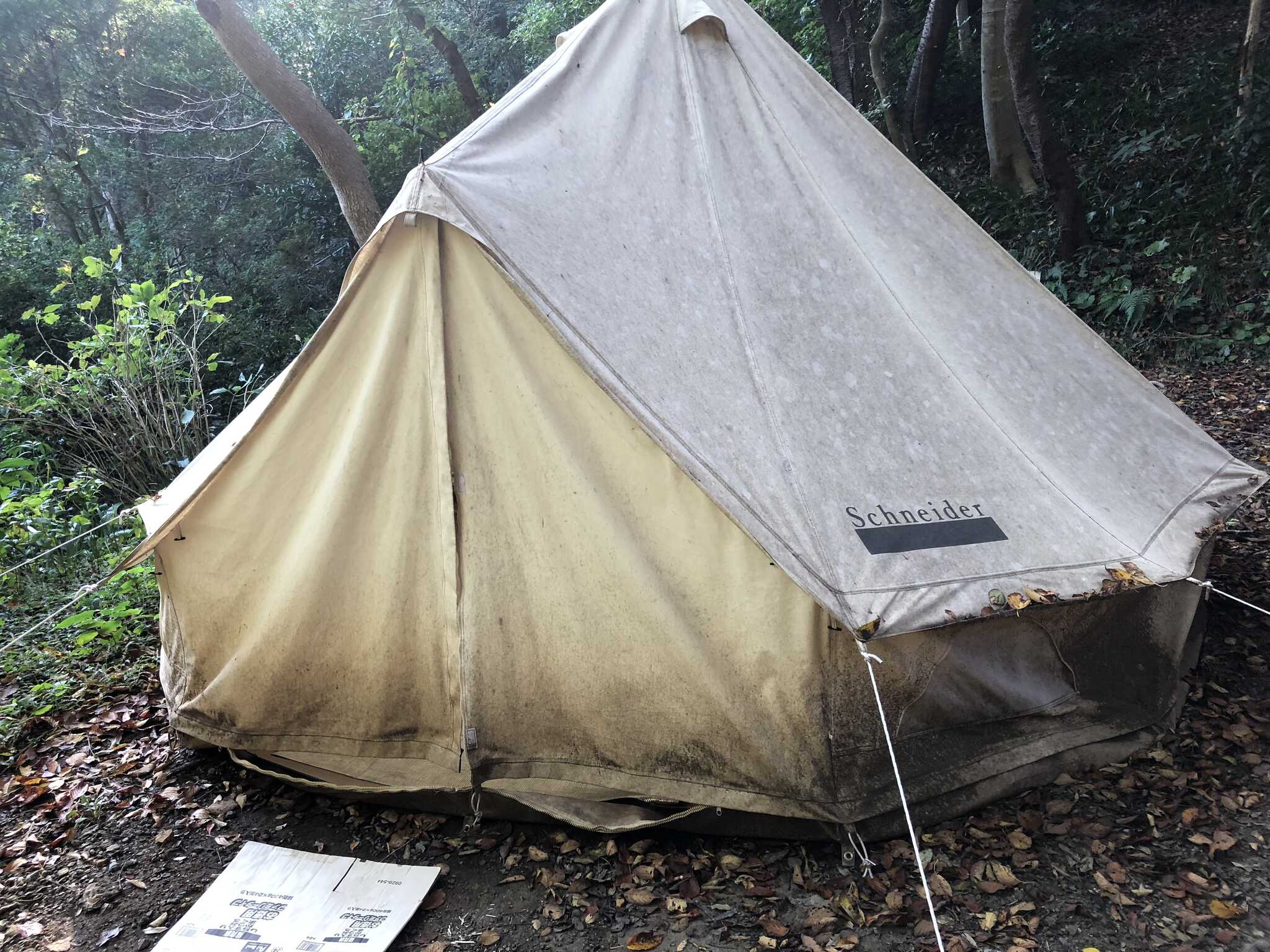 実際の外観